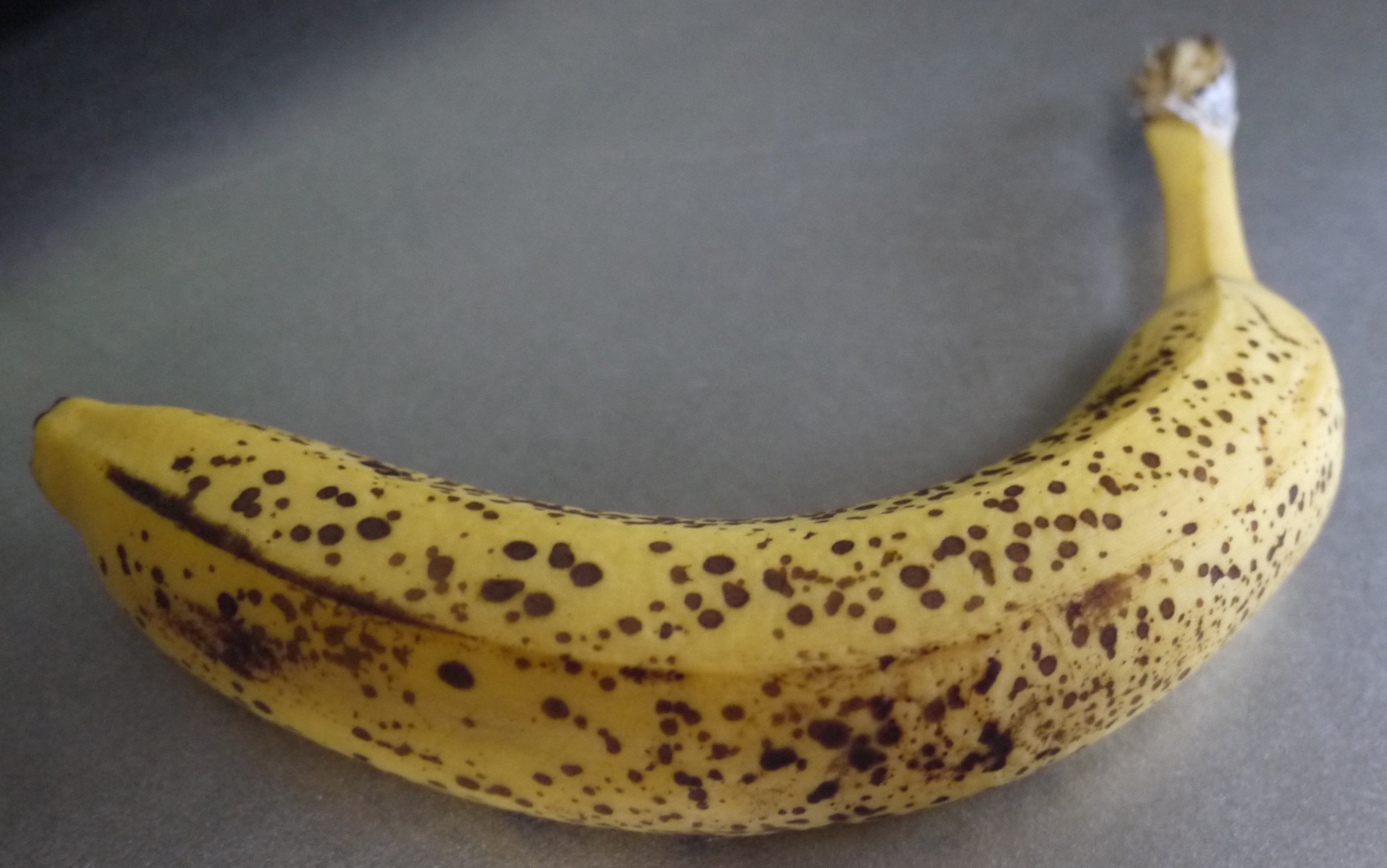 今日のバナナ 20240708｜3823