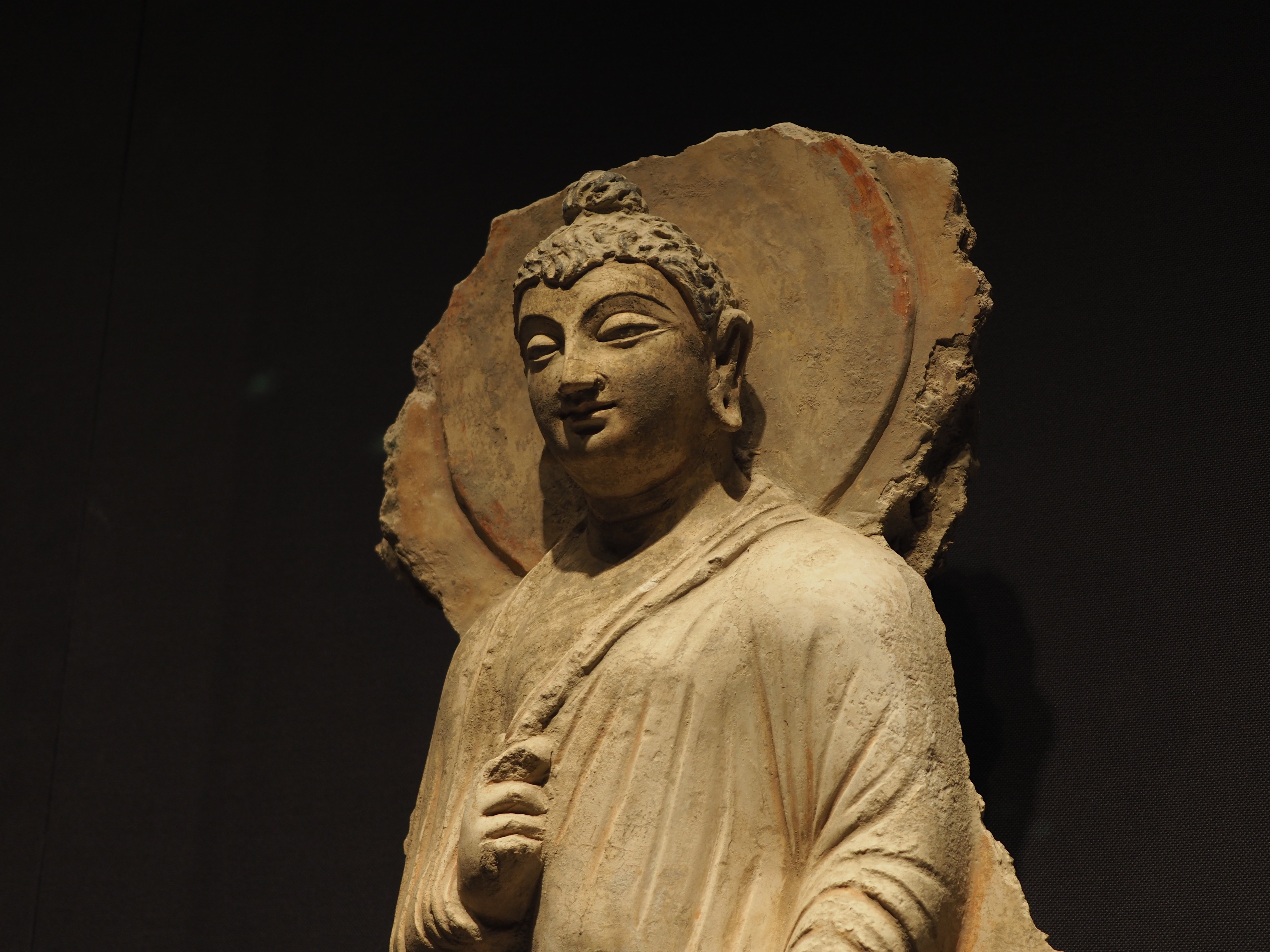 如来の頭部・髪型コレクション…如来の頭はいつから螺髪なのか