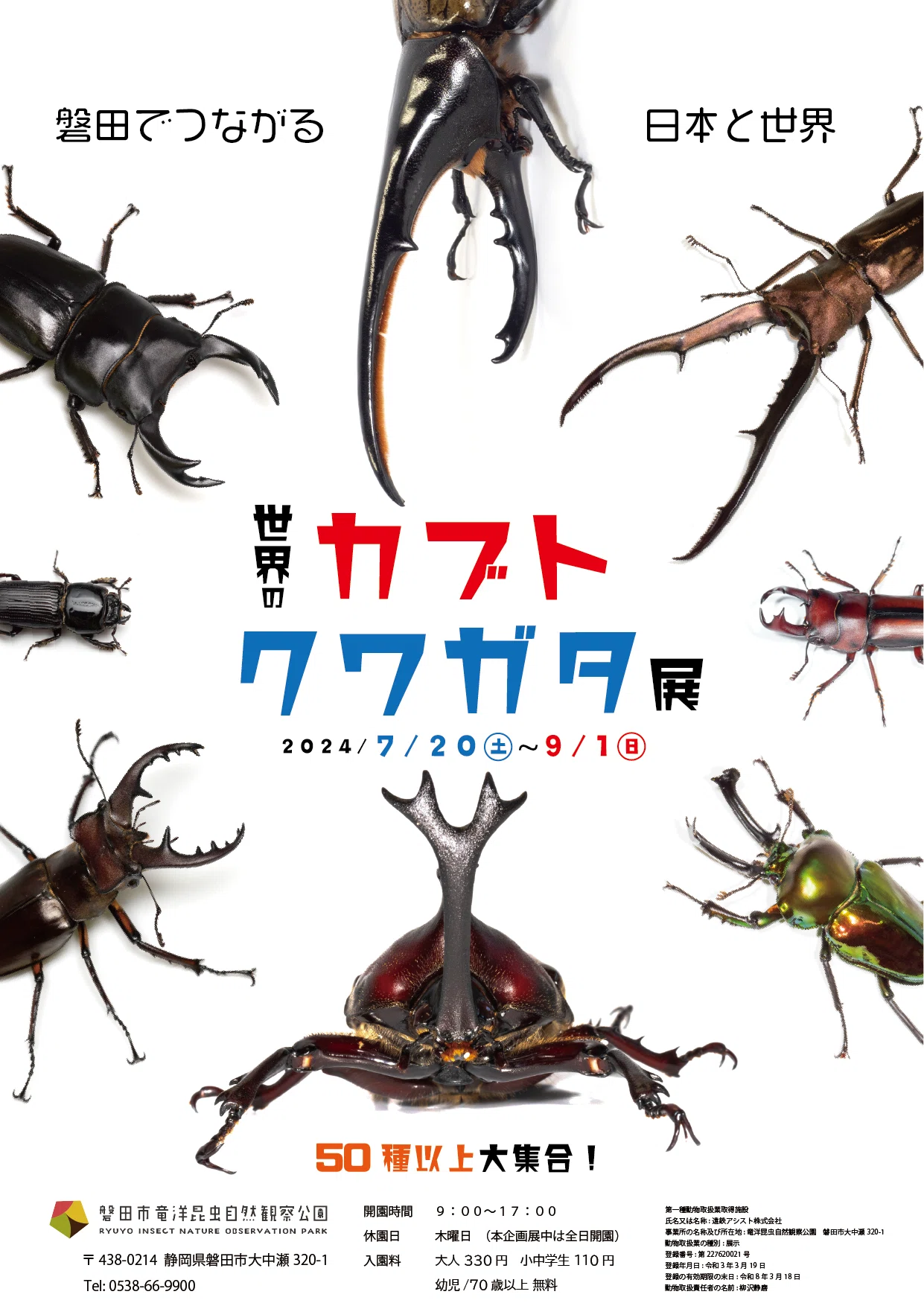 夏だ!カブトだ!クワガタだ!!|竜洋昆虫自然観察公園 夏だ!カブトだ!クワガタだ!!|竜洋昆虫自然観察公園