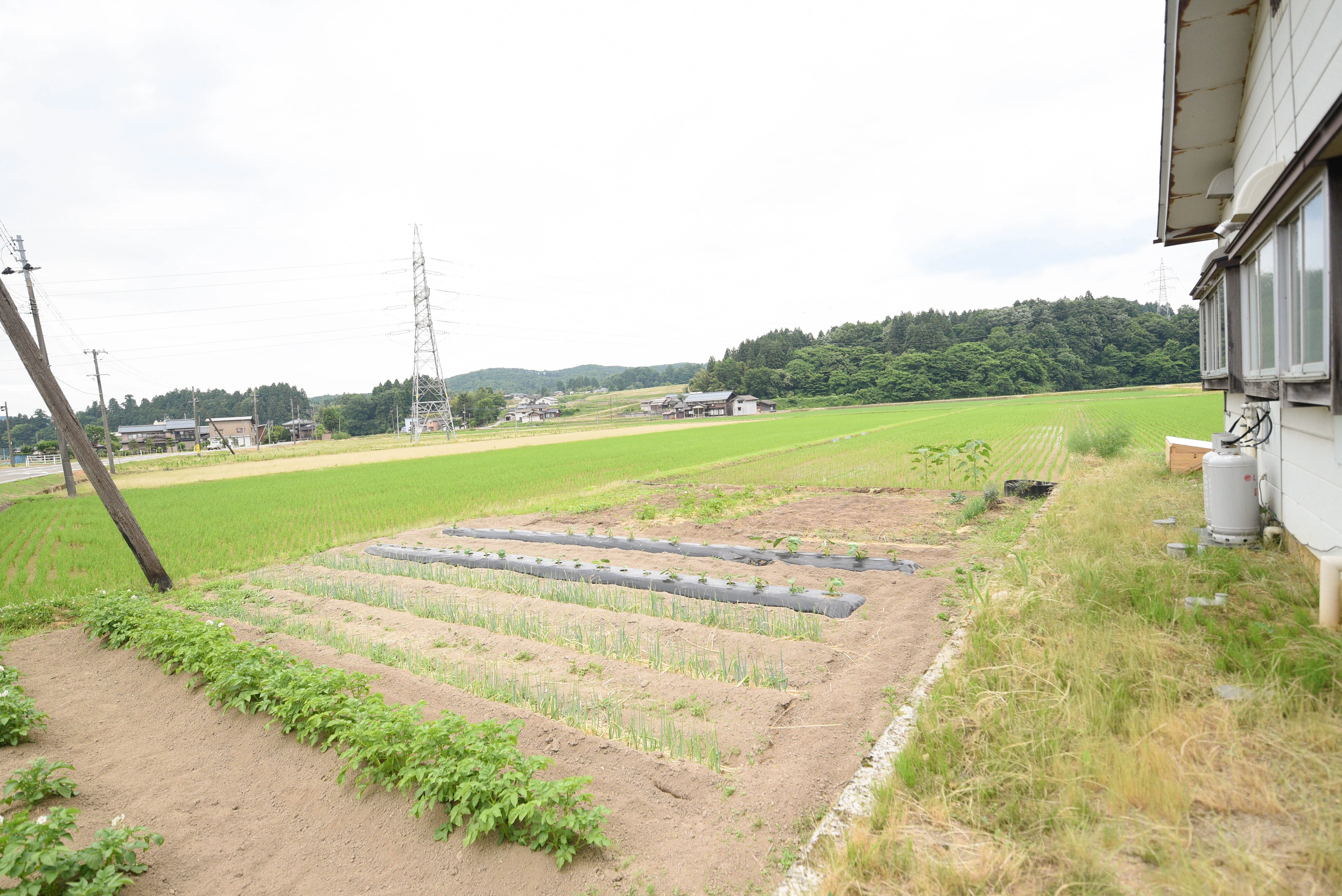田舎暮らしは毎日が実験！」スローな時間を愛しむ夫婦の三条・下田
