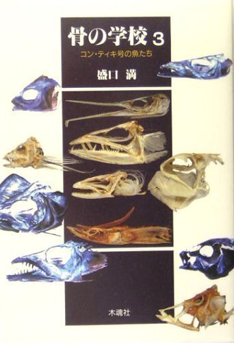 身近なスーパーマーケットのお魚でもできる！！耳石を観察してみよう