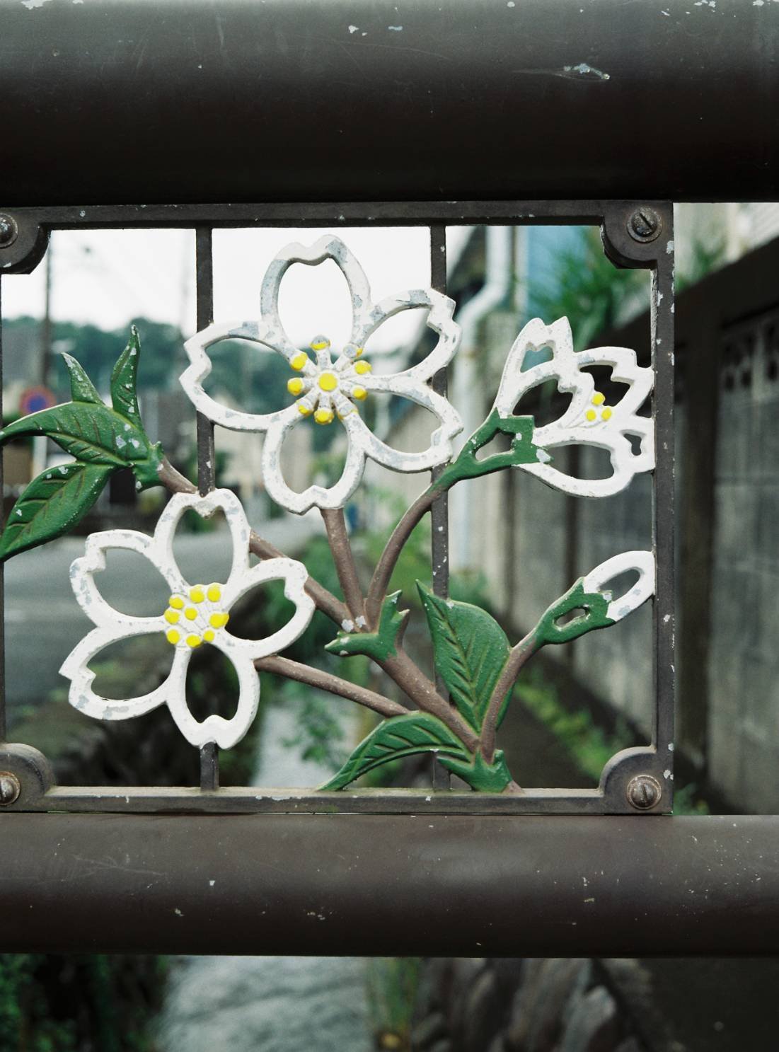 KONISHIROKU Pearl IV フィルム7本分使ってみて｜Yoshimin