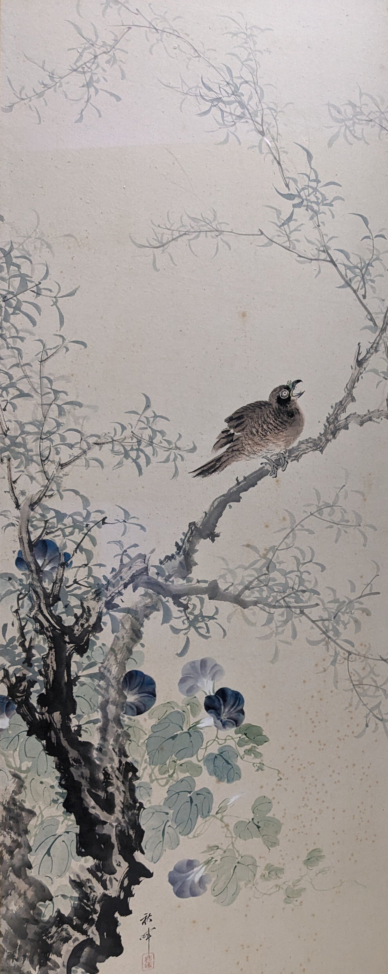 岡本秋暉 百花百鳥に挑んだ江戸の絵師 千葉市美術館|kaji 岡本秋暉 百花百鳥に挑んだ江戸の絵師 千葉市美術館|kaji