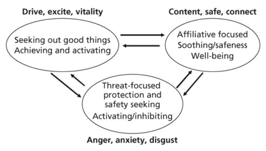 The Benefits and Limitations of Compassion-Focused Therapy (CFT) with ...