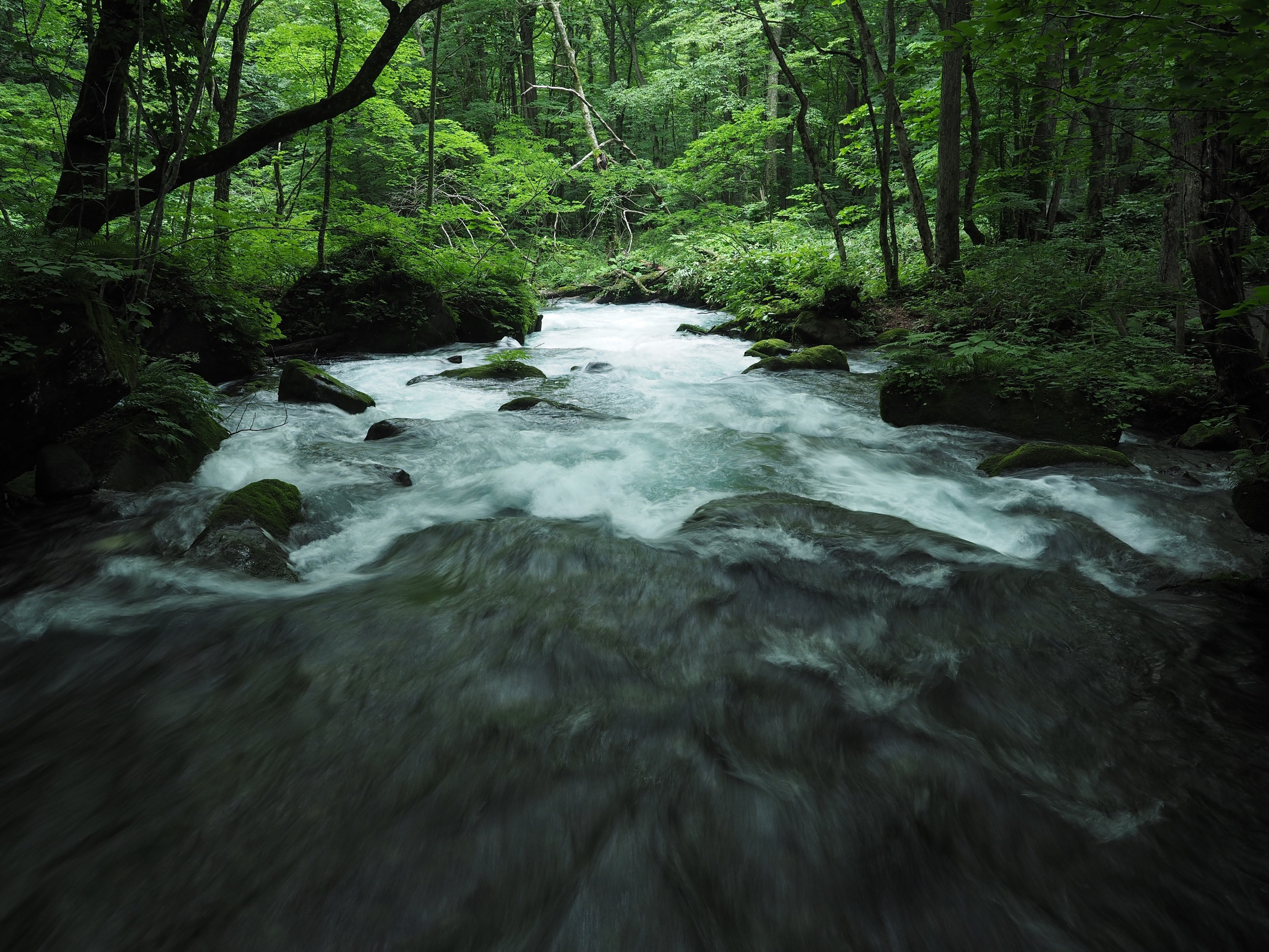 渓流 it-59719b82e344a-1200.jpg