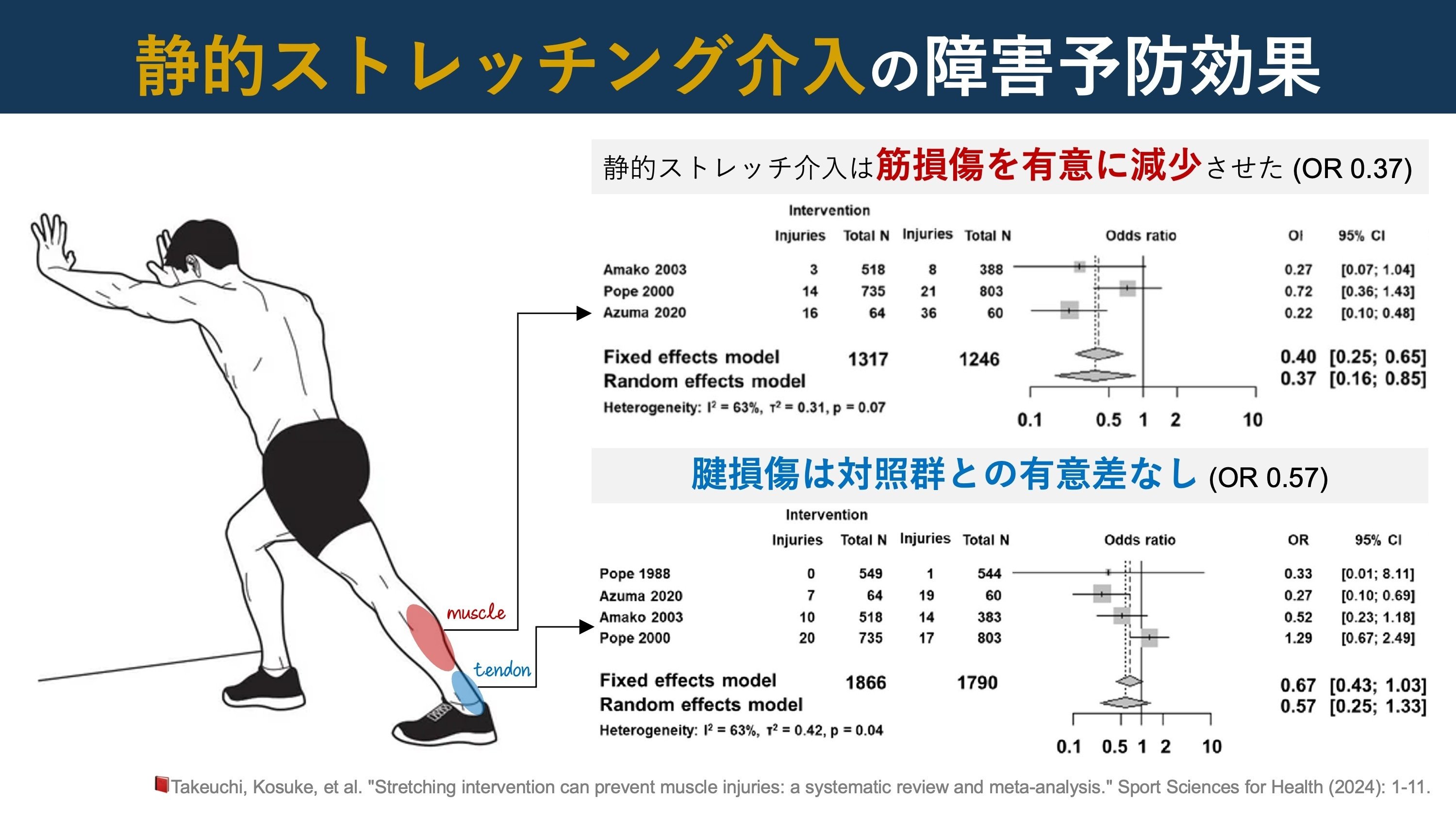 静的ストレッチの障害予防効果｜Super Human | 理学療法士／保健学博士