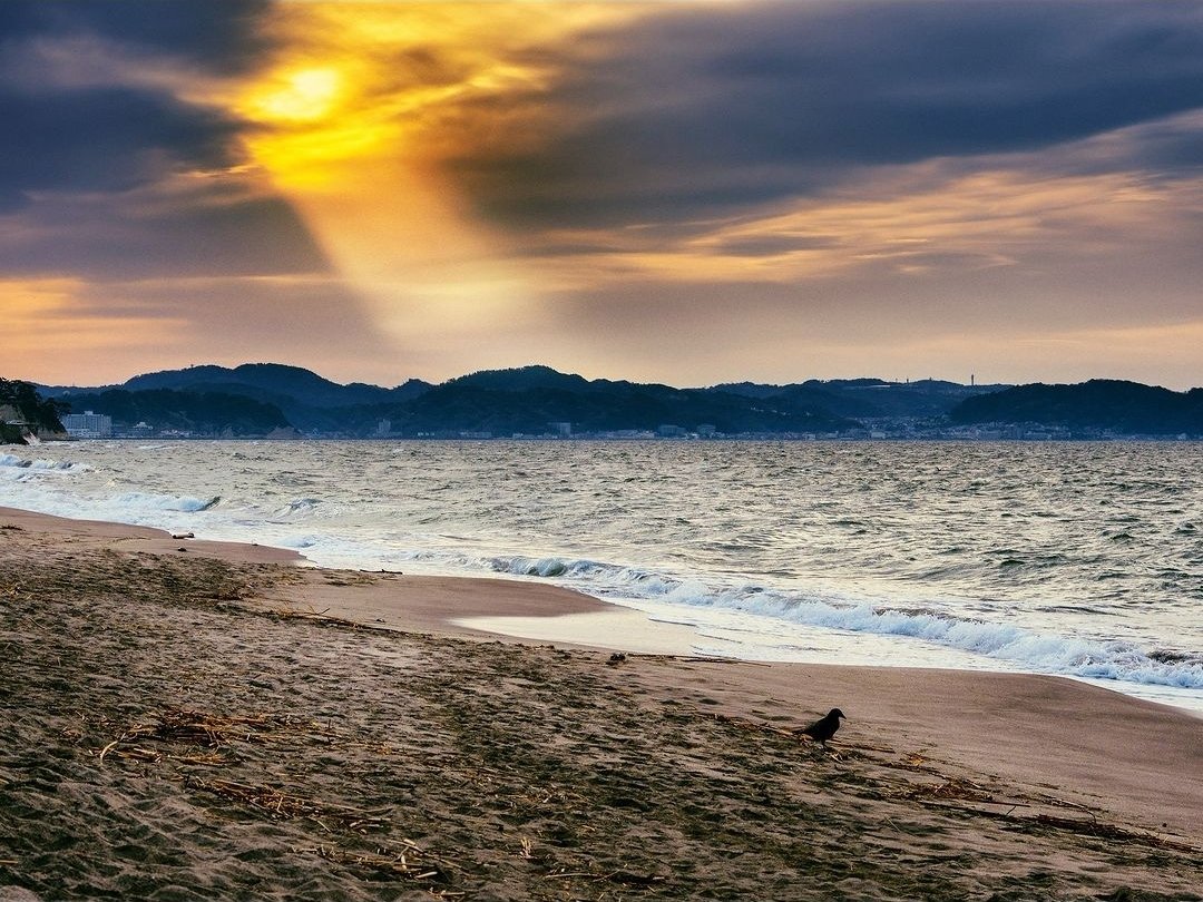 栗田 尚「記憶の中で色彩を失っていた鎌倉という土地を訪ね、写真に
