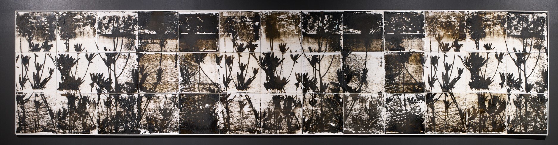 トリばァnote】はじめまして「トリばァ」です。作品《湖の化石》に寄せ