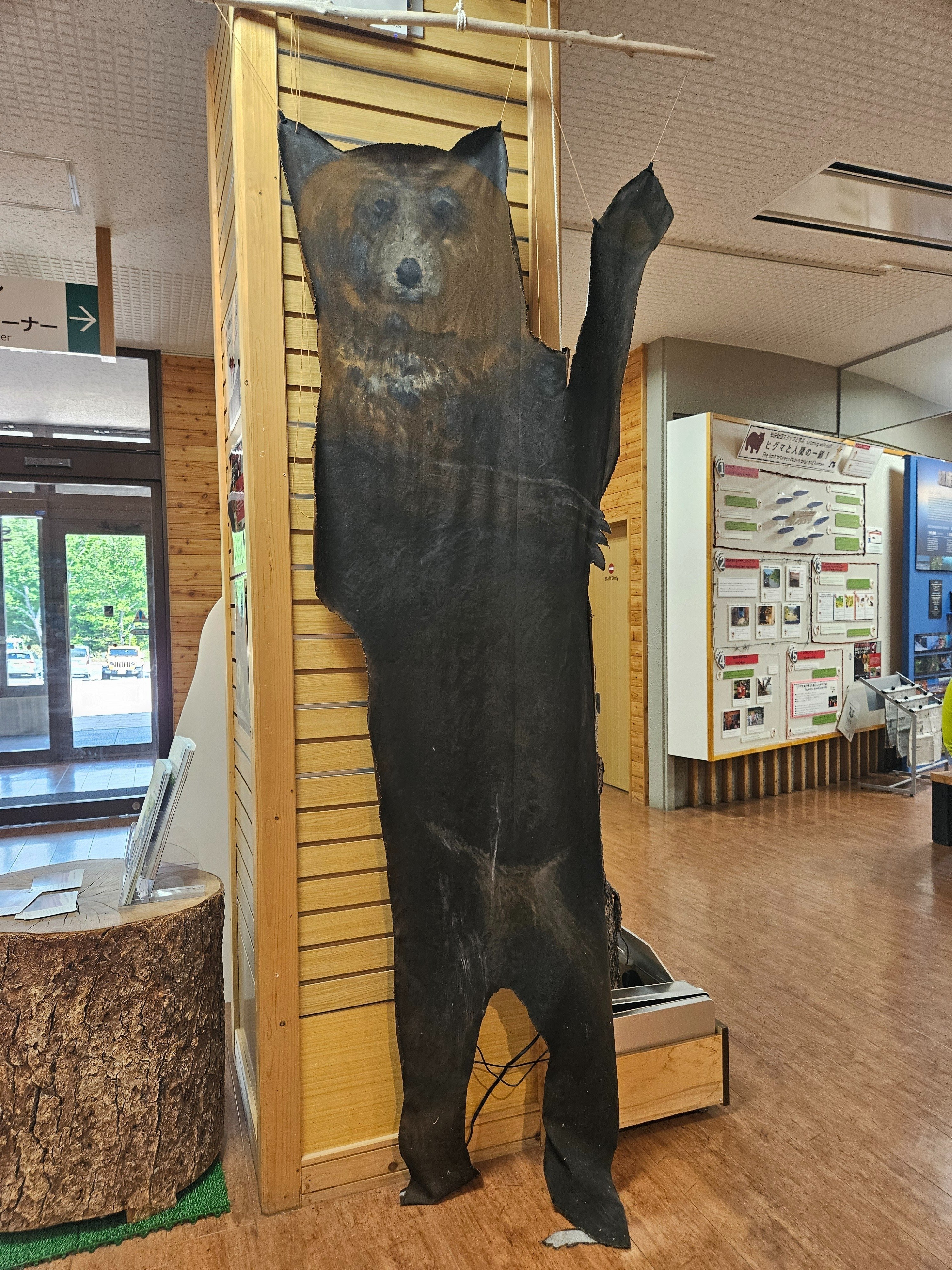 ヒグマの高密度生息地へ｜旅する飲んべえ·さちこ