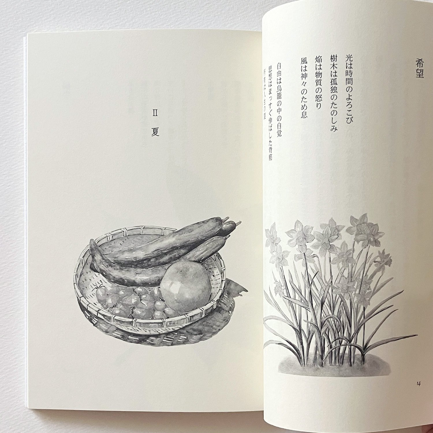 額装詩「想」 詩集レビュー】田中茂二郎 美穂子 詩画集『世界は夜明けを待っている