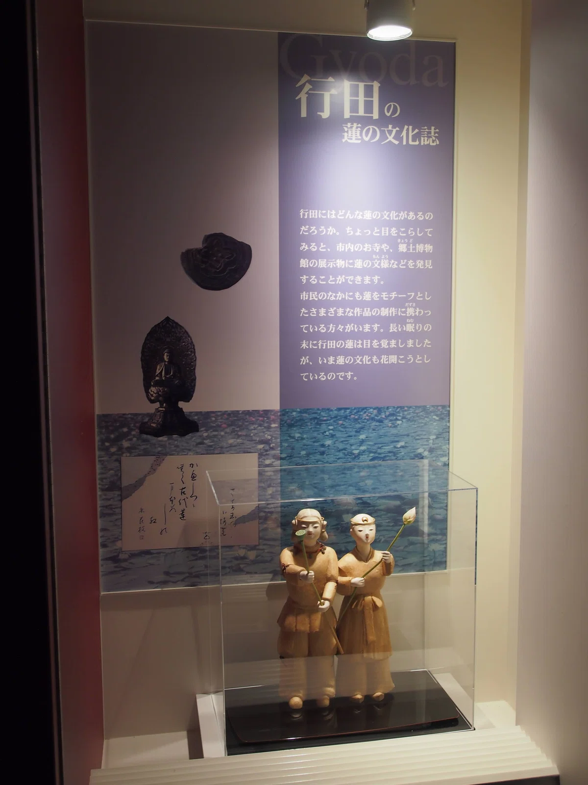 古代蓮の里へ|luminiisan