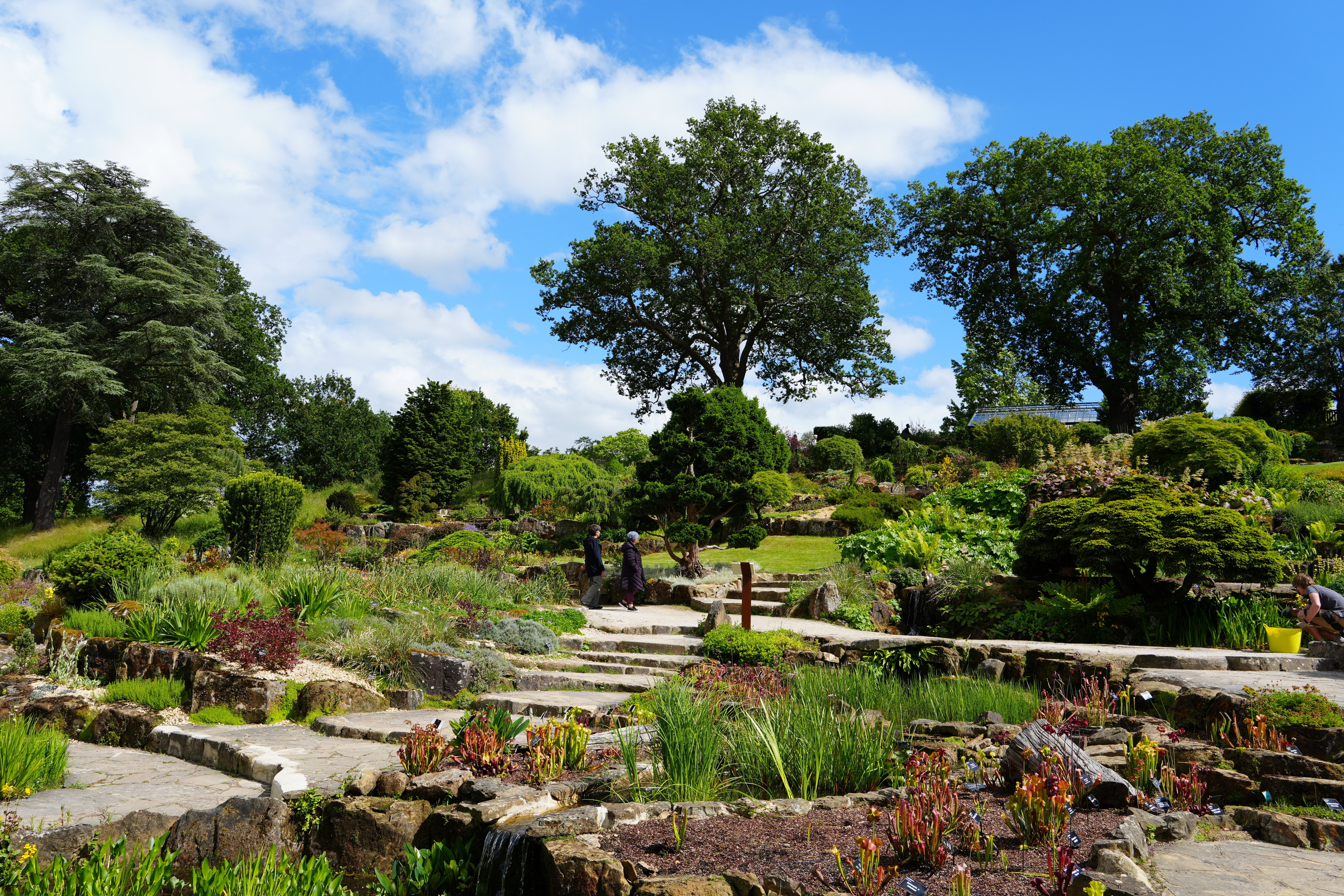 イギリス】 初夏に訪れたいイングリッシュガーデン - RHS Garden