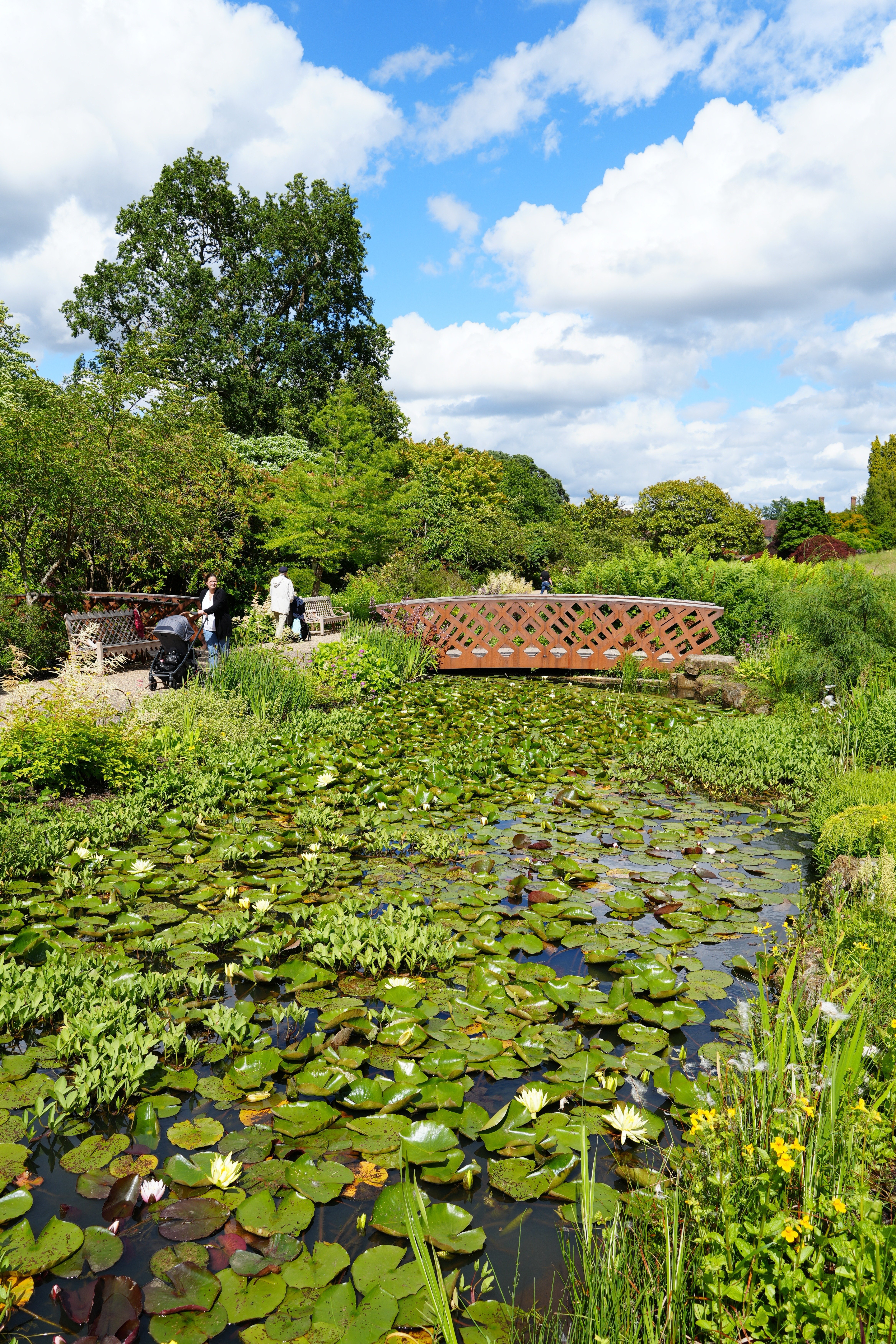 イギリス】 初夏に訪れたいイングリッシュガーデン - RHS Garden