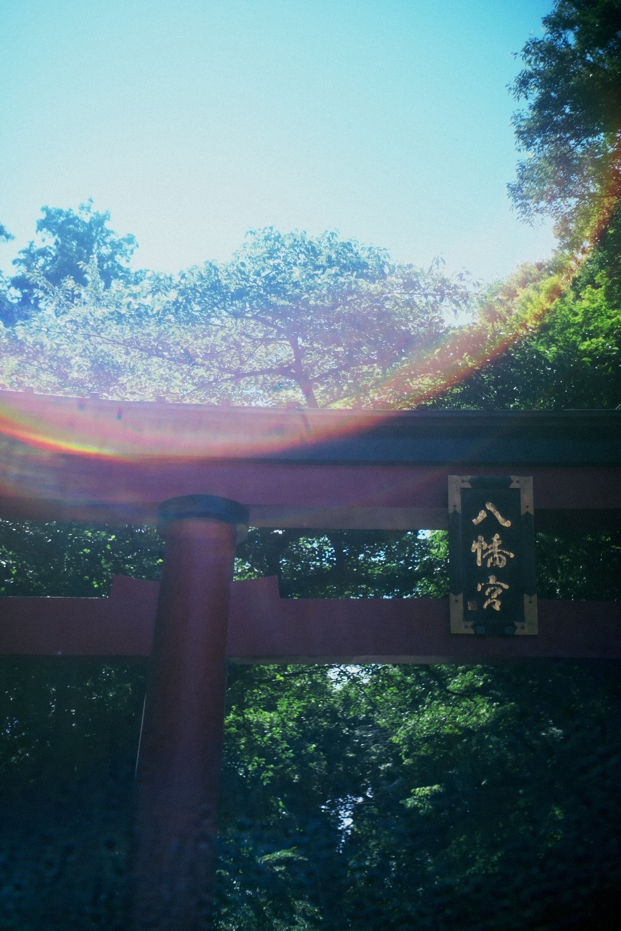 ハイライトの滲み。(NIKKOR-H.C 5cm F2 + Nikon Zf)|篠山吉信 ハイライトの滲み。(NIKKOR-H.C 5cm F2 + Nikon Zf)|篠山吉信