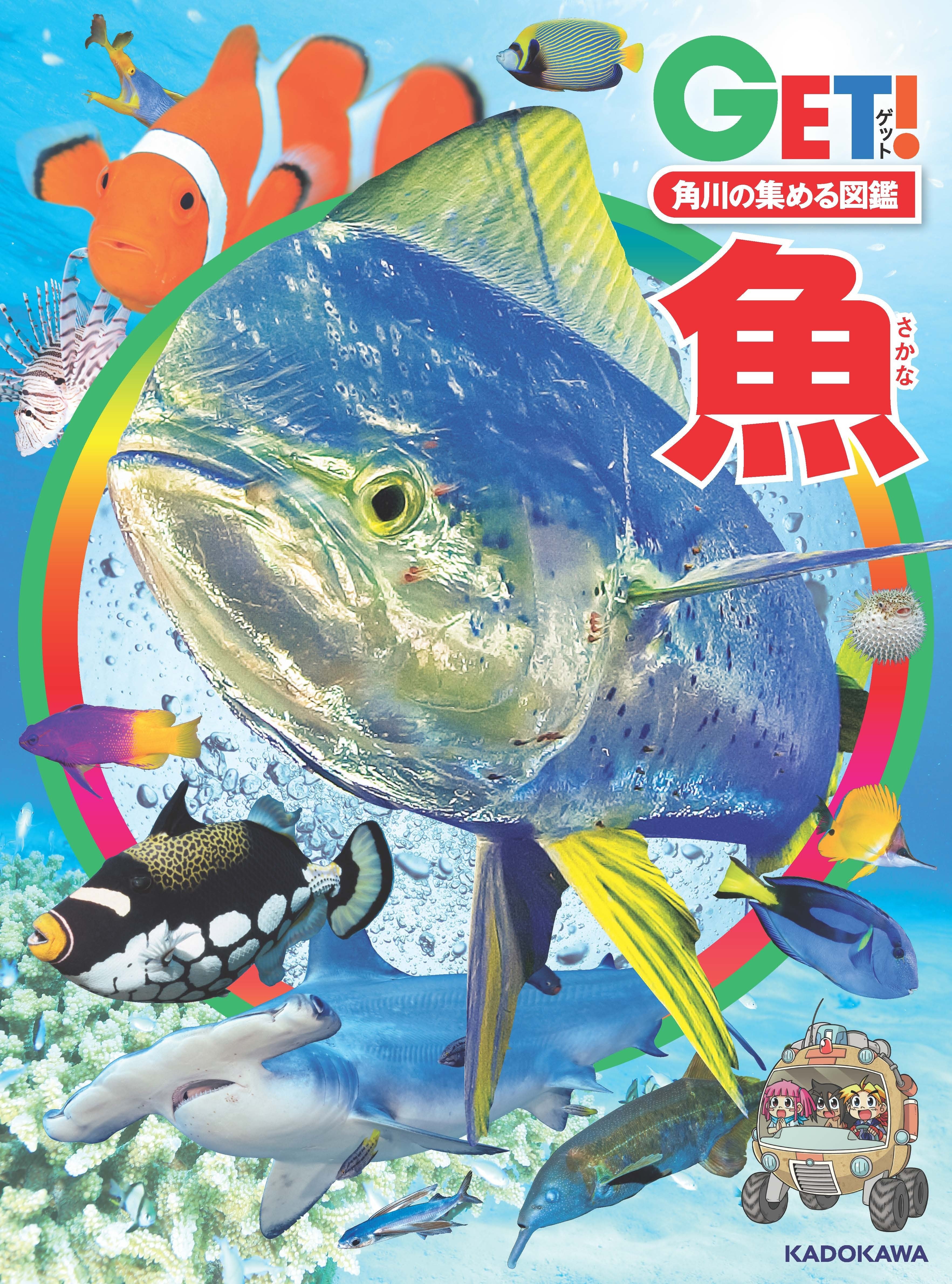 身近なスーパーマーケットのお魚でもできる！！耳石を観察してみよう