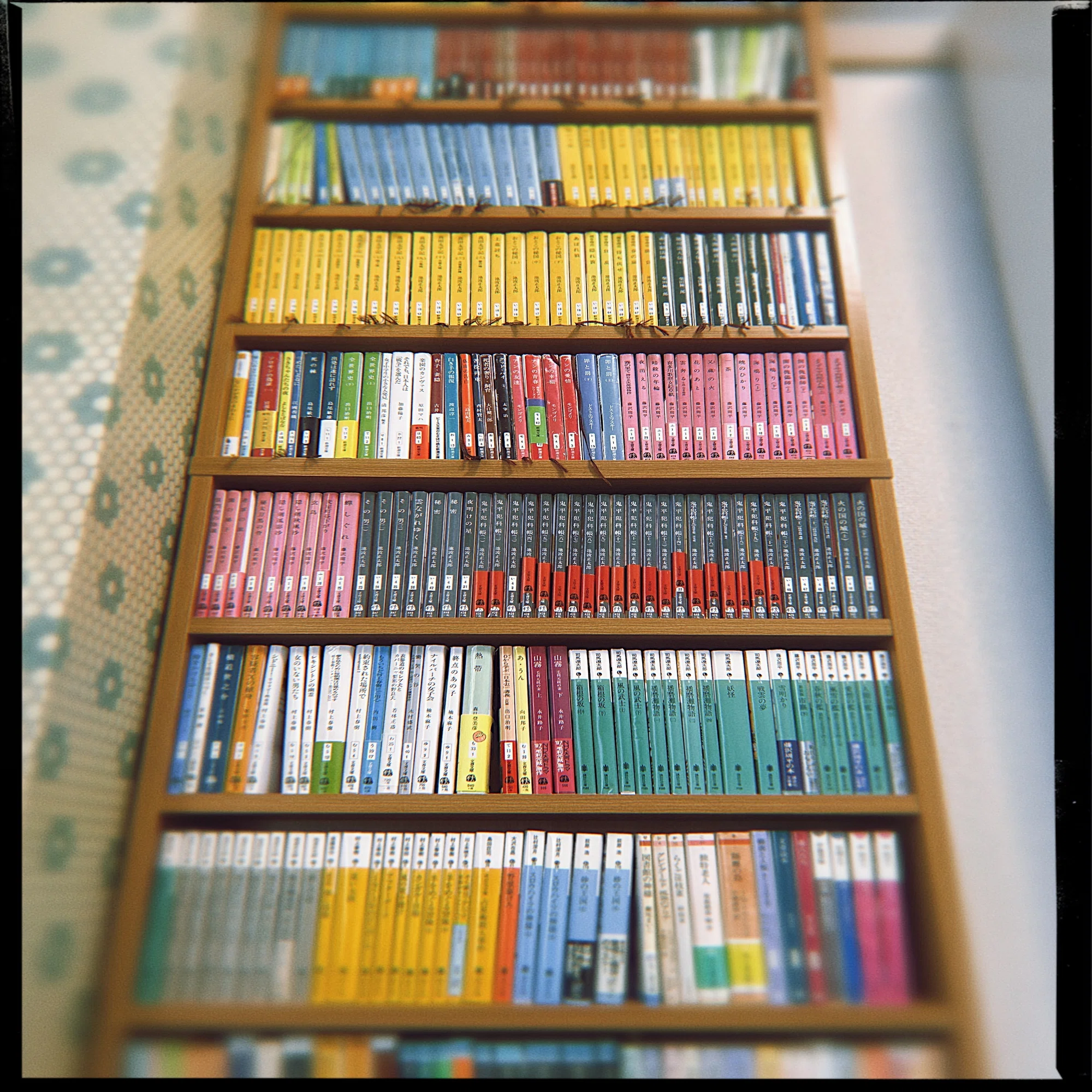 日記】「文庫専用本棚」を買ってみたら《ここ1年で買ってよかったもの 