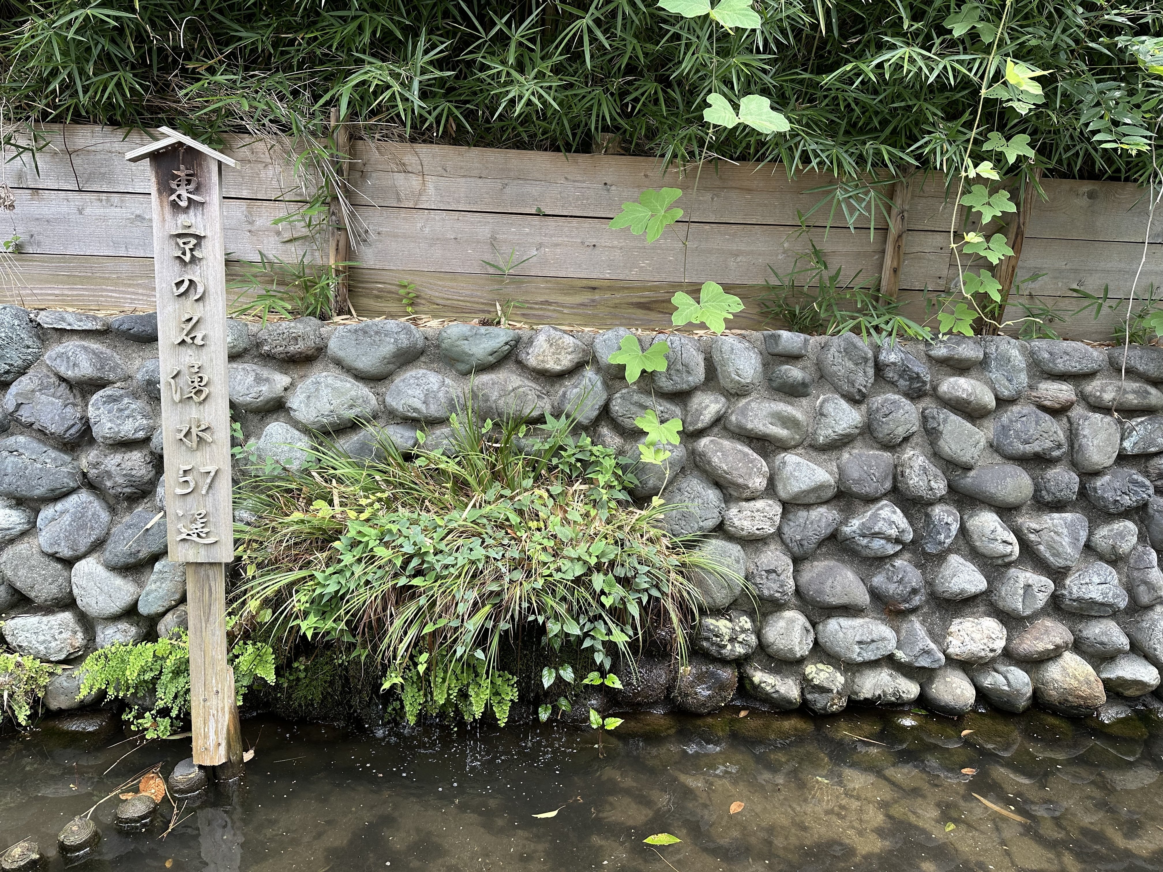 【中古】 摩訶止観研究序説/大東出版社/池田魯参 改訂新版 観光学 - 古今書院 Since1922 地理学とともに歩む