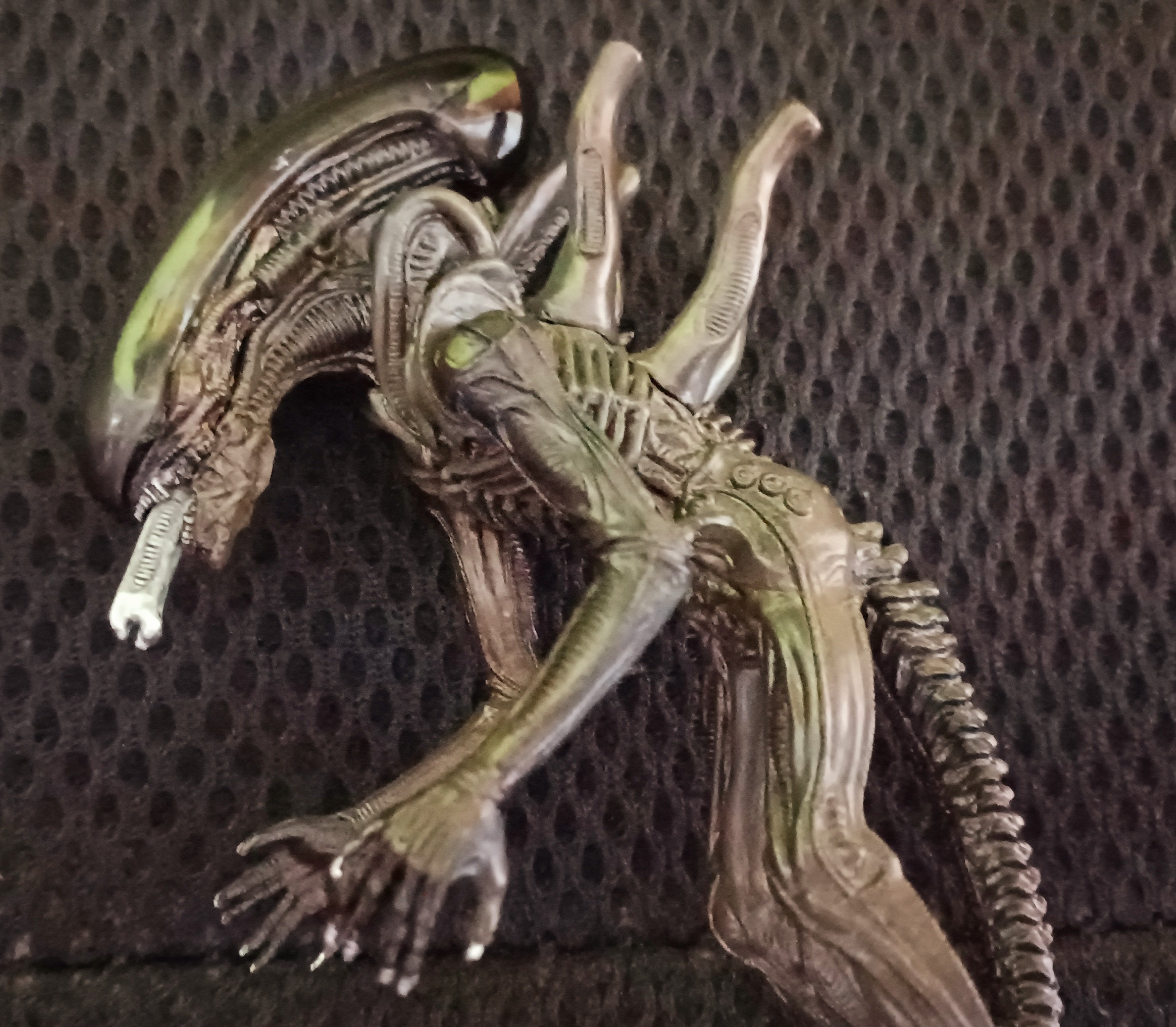 ロシア雑貨☆マトリョーシカ(5P) H18ファーマーズ オリガ作 【公式通販】