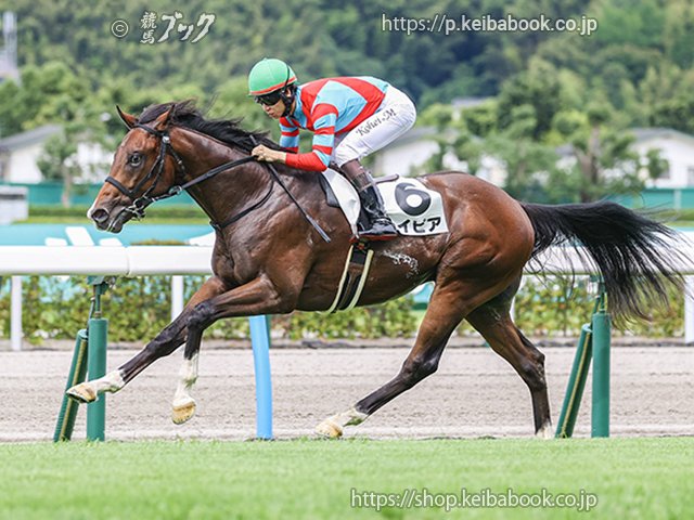 血統閑談#020 形をとり始めた2歳新種牡馬ランキング（水野隆弘