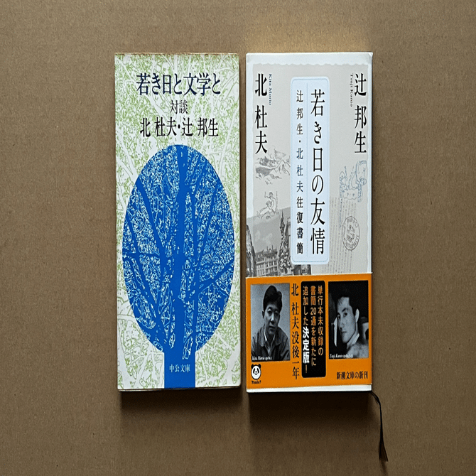 辻邦生に影響を与えた作家たち＞北杜夫／短編『岩尾根にて』自分と