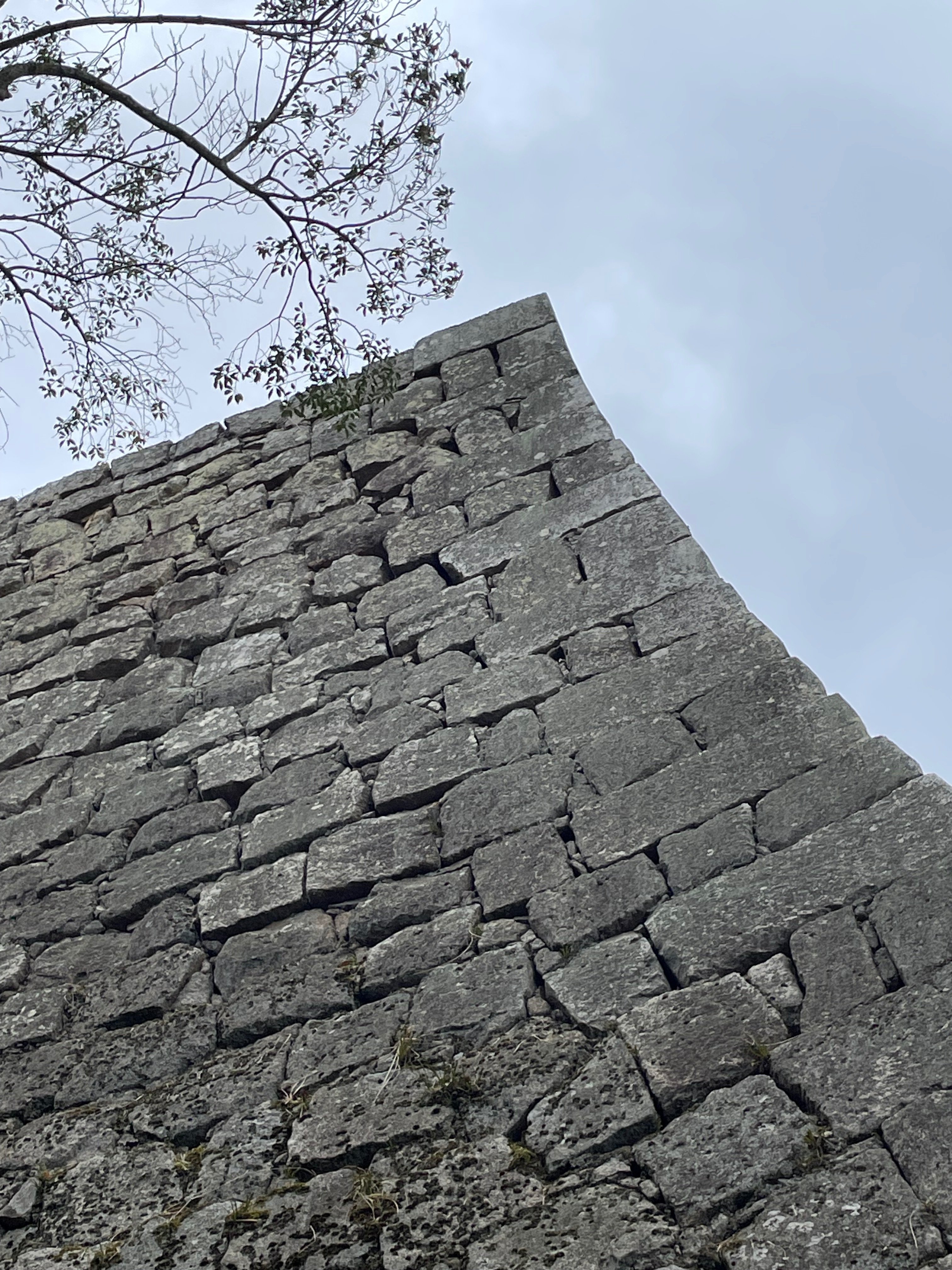 駄洒落番長の城🏯を知ろう④ 丸亀城〜現存するのはたったの12城って