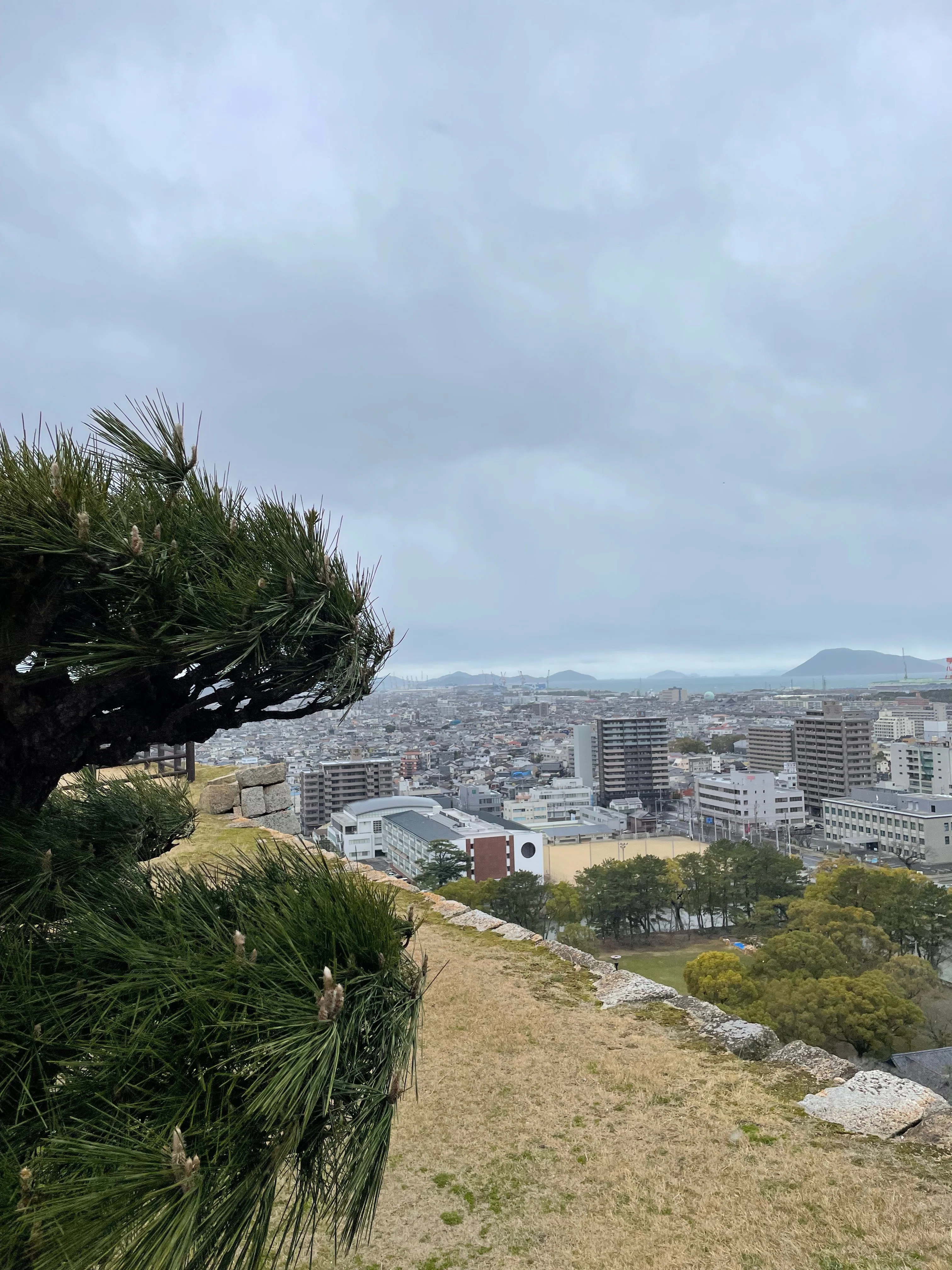 駄洒落番長の城🏯を知ろう④ 丸亀城〜現存するのはたったの12城って