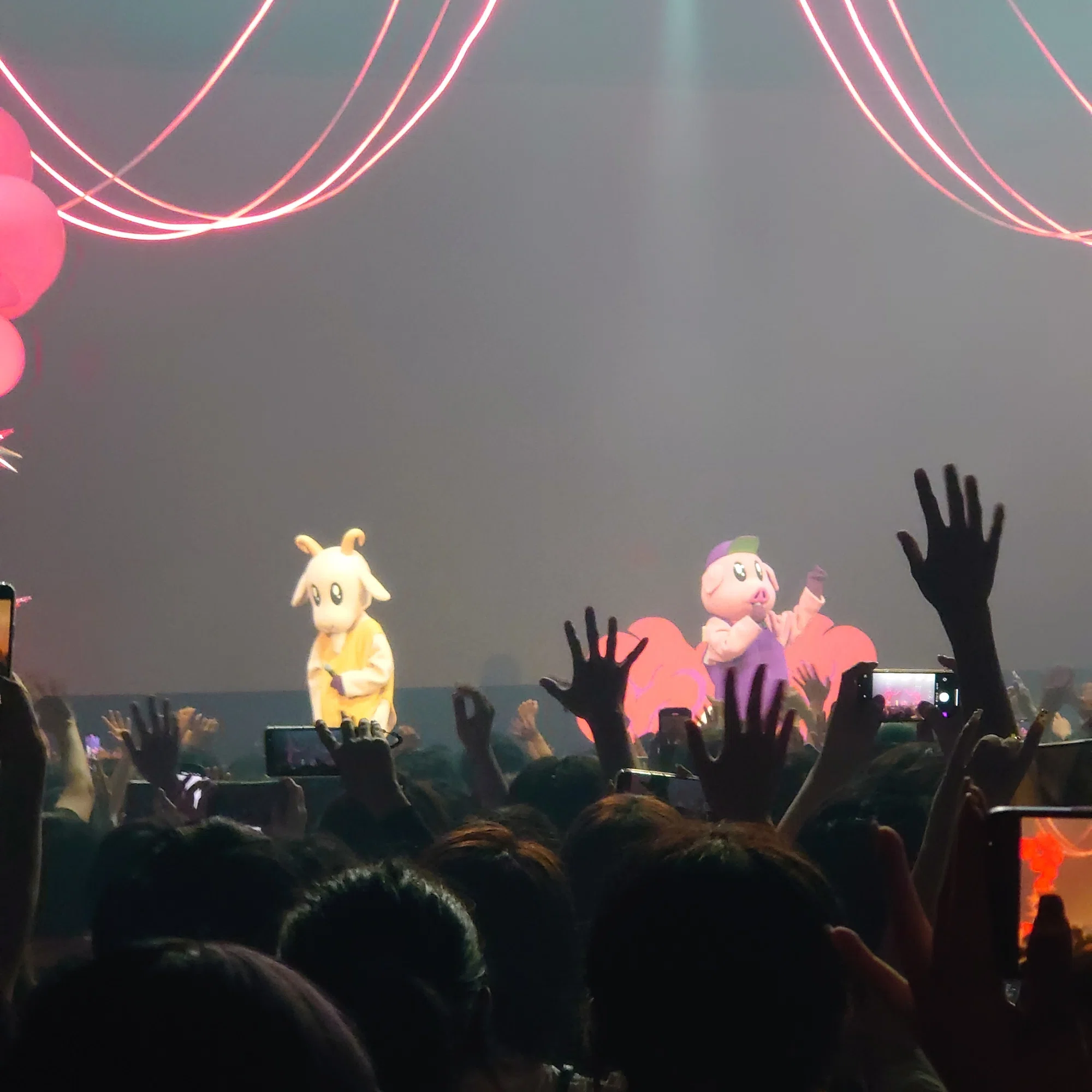 Peanuts-kun at Zepp Haneda - 水無月ちゃん