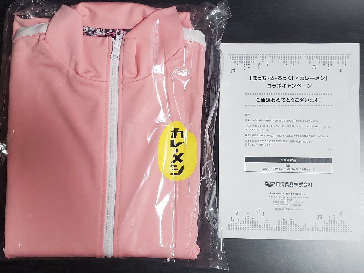 スゴイッス DOD ゆるキャン△ 日清カレーメシ コラボキャペーン 当選品  