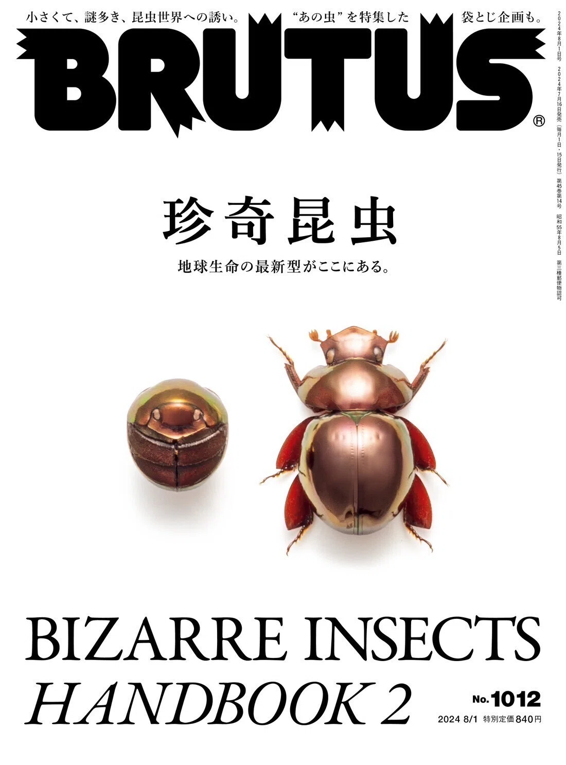 世界で出会った3種の珍奇な昆虫たち｜竜洋昆虫自然観察公園