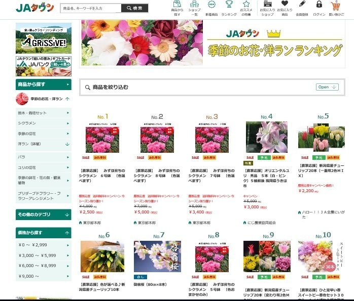 東京・瑞穂町「みずほ育ちのシクラメン」買うならJAタウンで！～コロナ