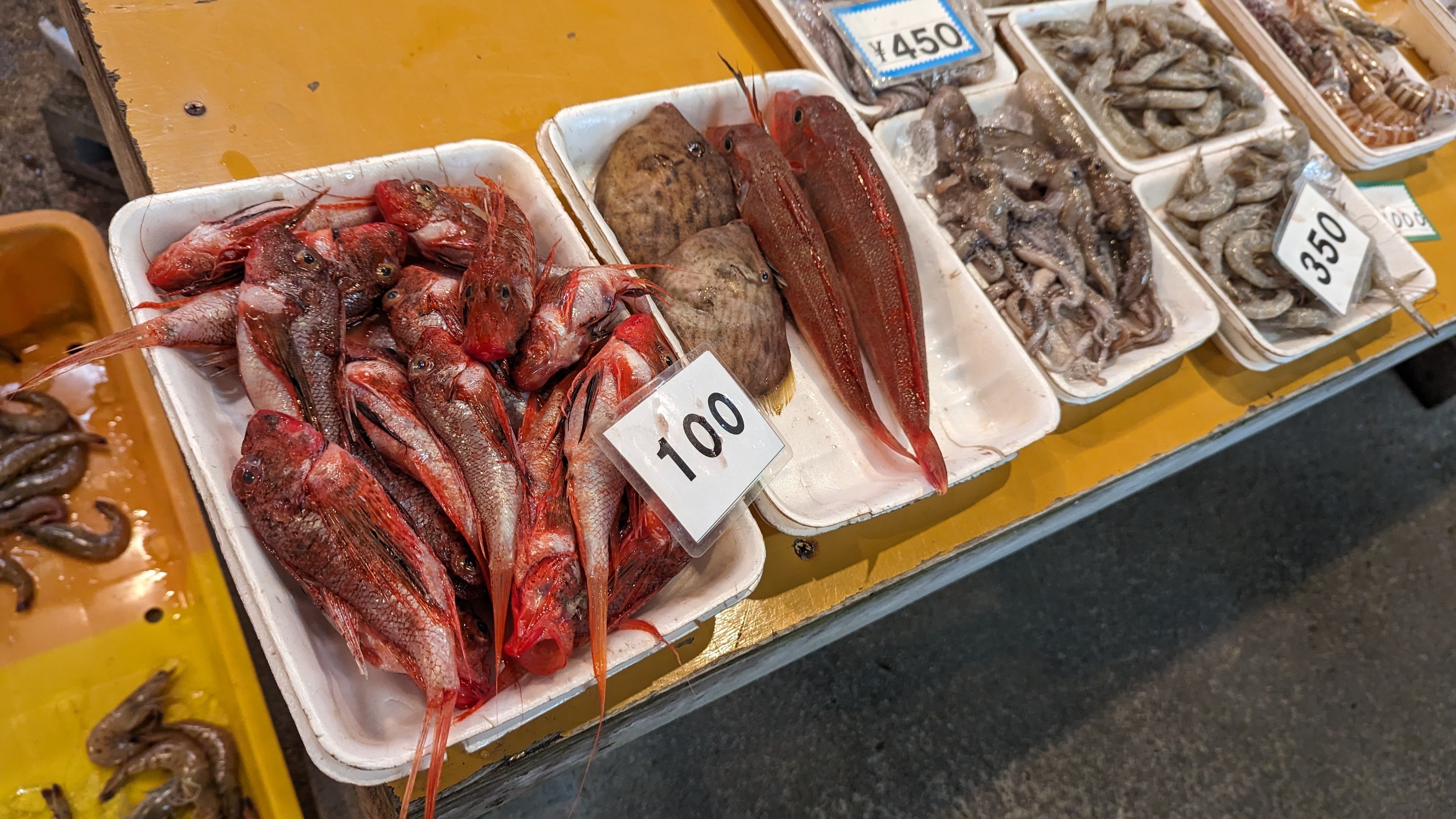 2024年7月25日（木）「未利用魚・セトミノカサゴ」｜おおたま