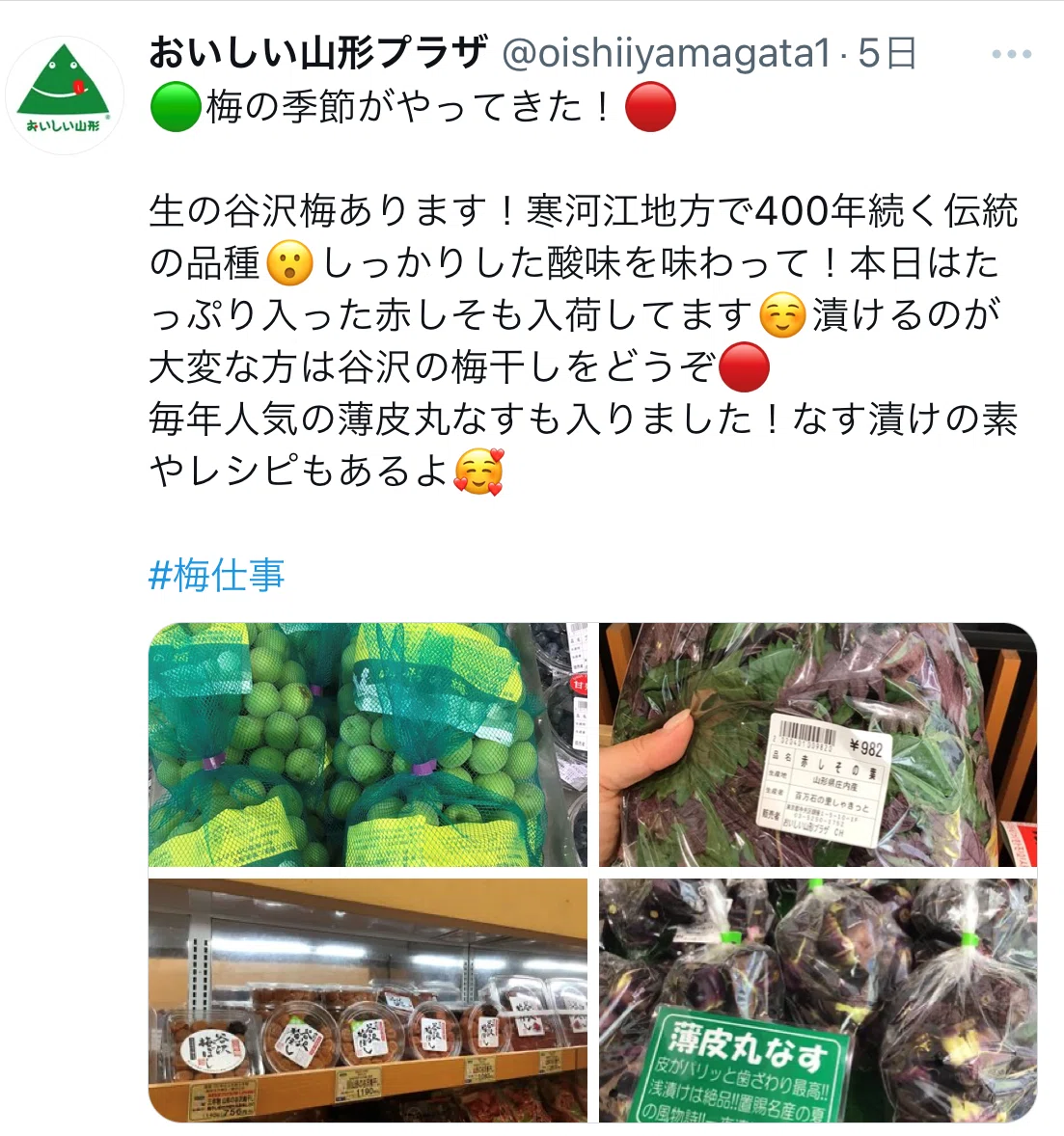 今度こそ2024梅シーズン最後の梅購入、「おいしい山形プラザ」で谷沢梅