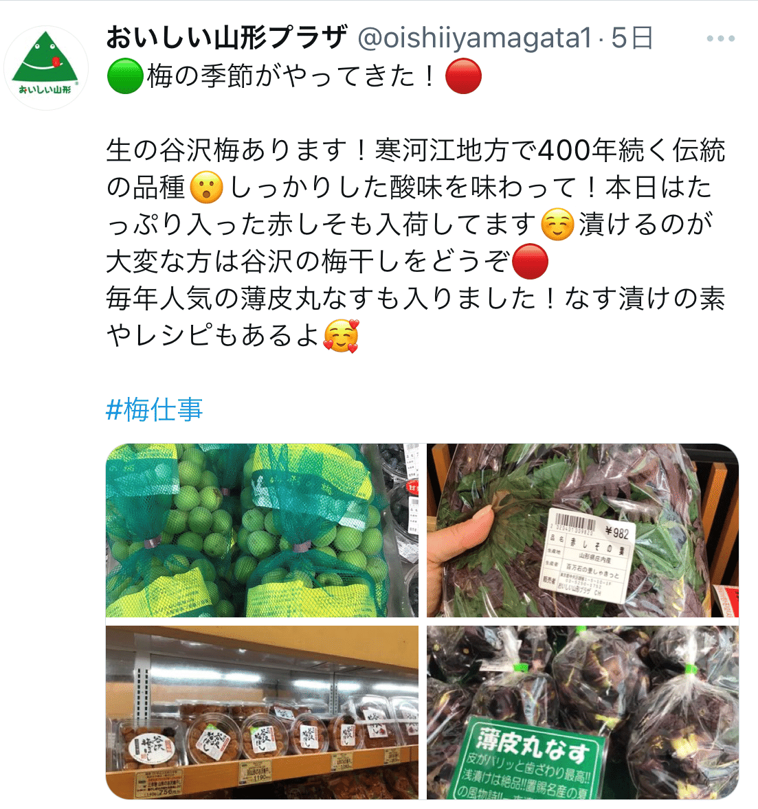 今度こそ2024梅シーズン最後の梅購入、「おいしい山形プラザ」で谷沢梅