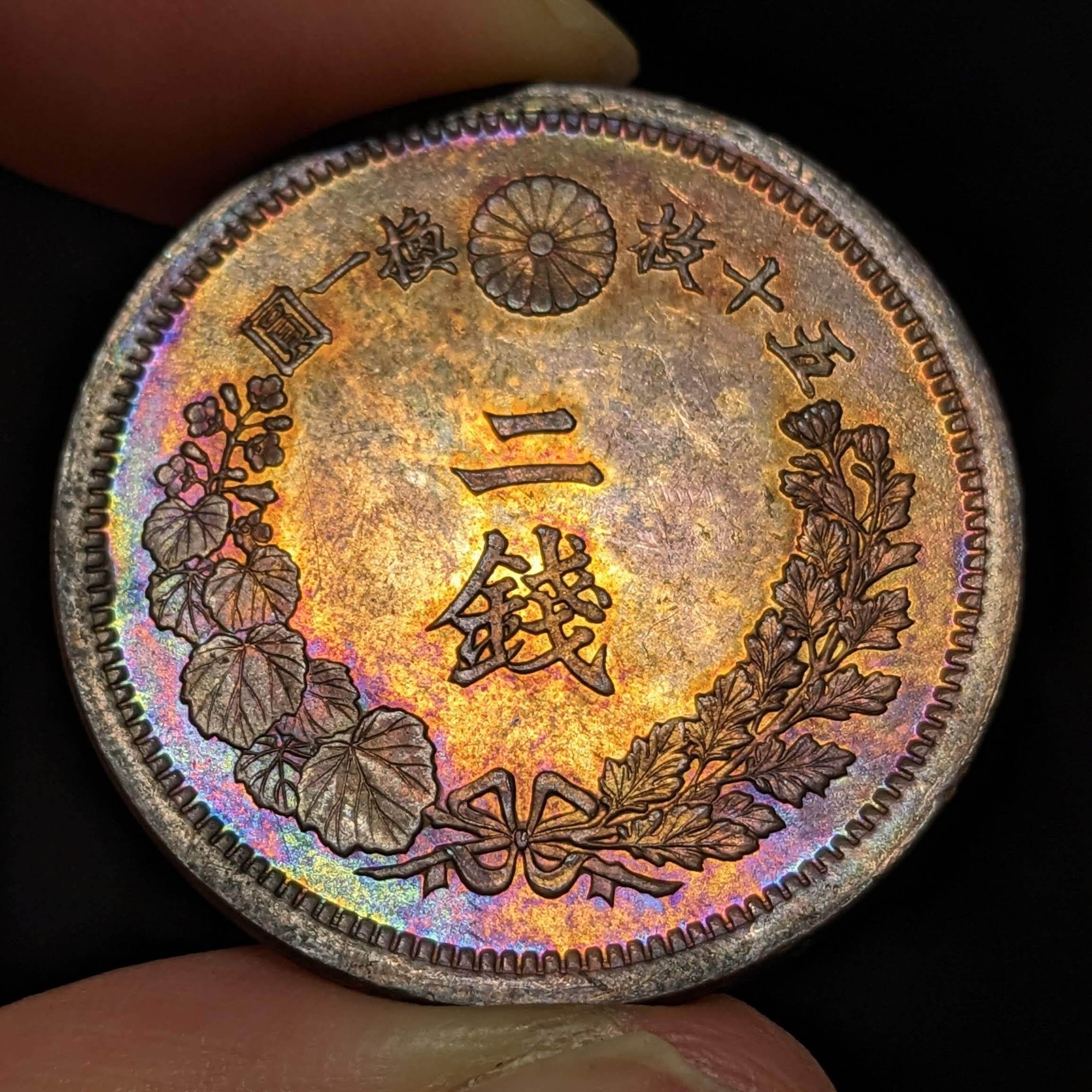 AW(auction world) 第37回オークション(2024/7) 下見の感想｜オーライズドコイン