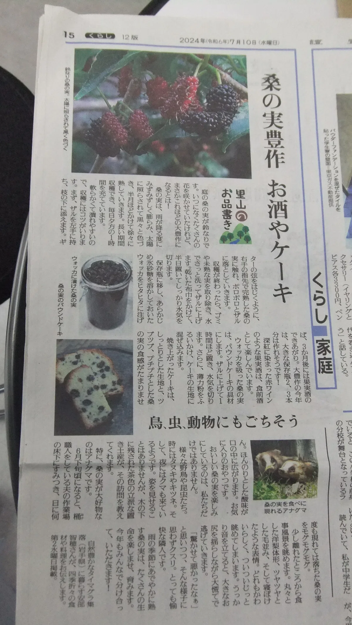 桑の実|きらり流れ星