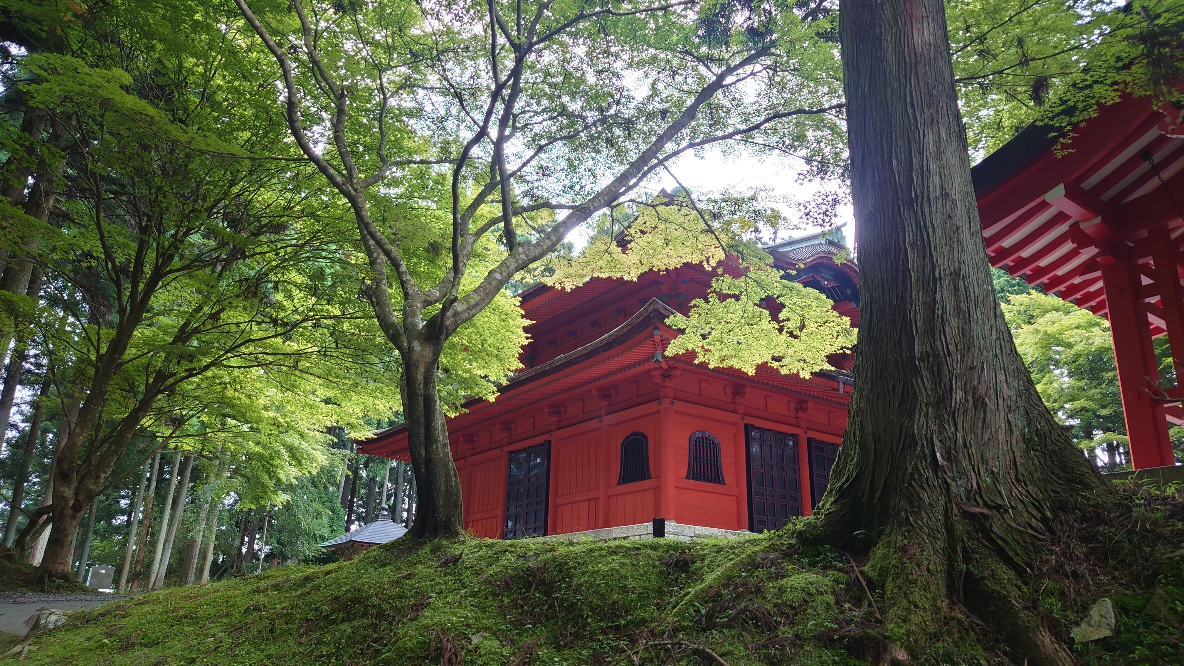 比叡山延暦寺｜山の御膳とクリームソーダ｜まつりの姫スプーン
