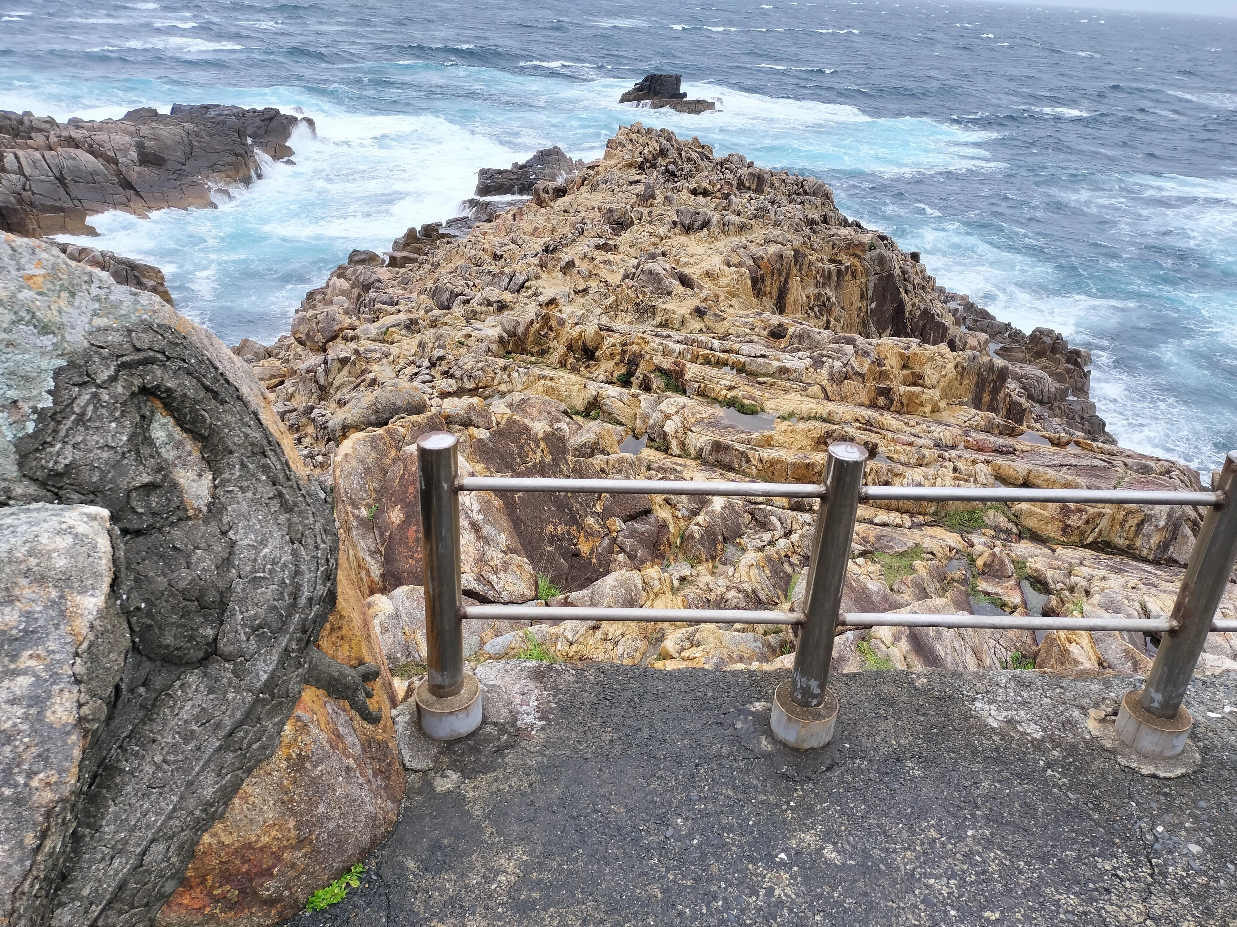 高知～愛媛旅行 2024 その5 足摺岬後編｜きょむ