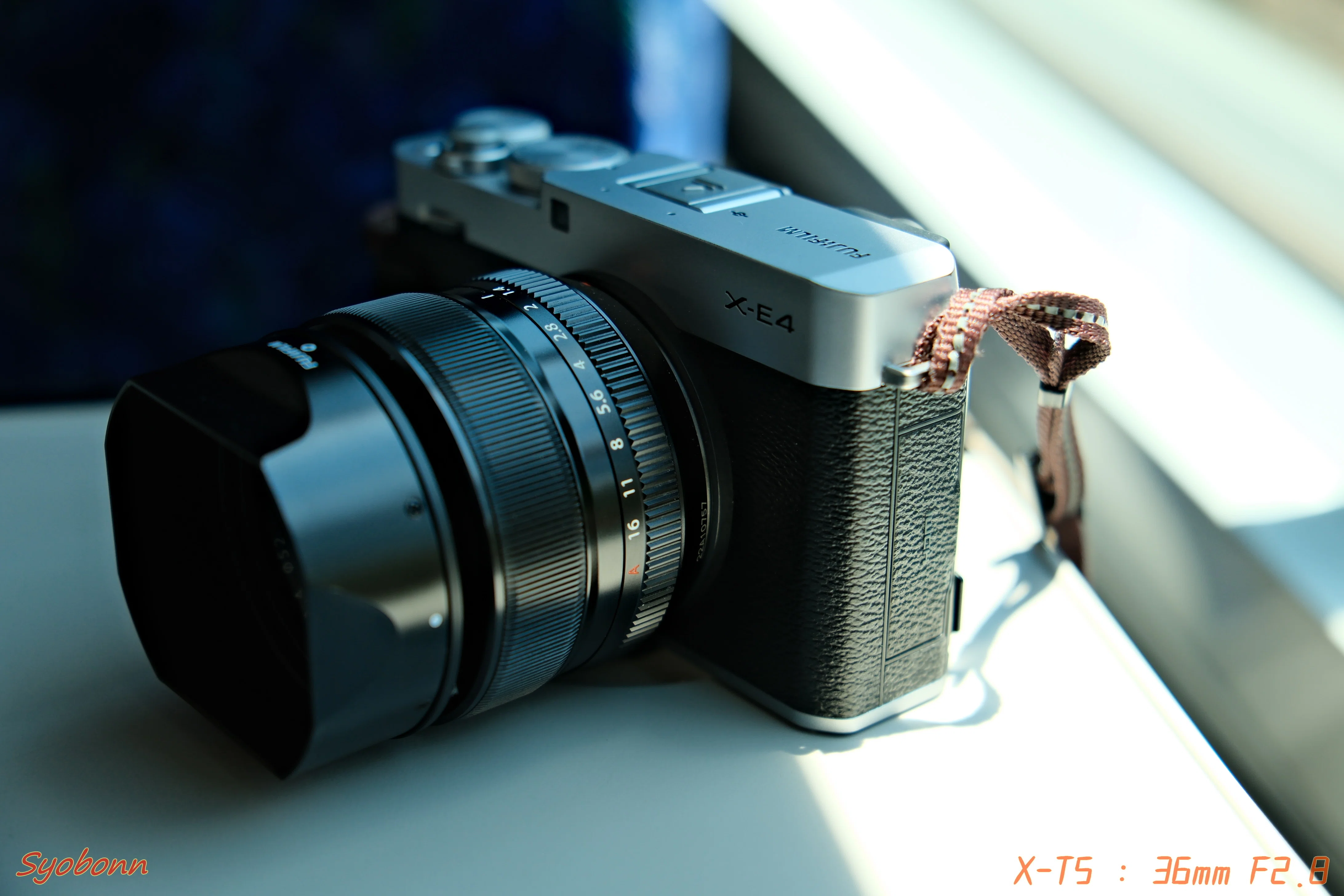 使ってみて感じたNikonZとFujifilmXの違い｜(´・ω・｀)