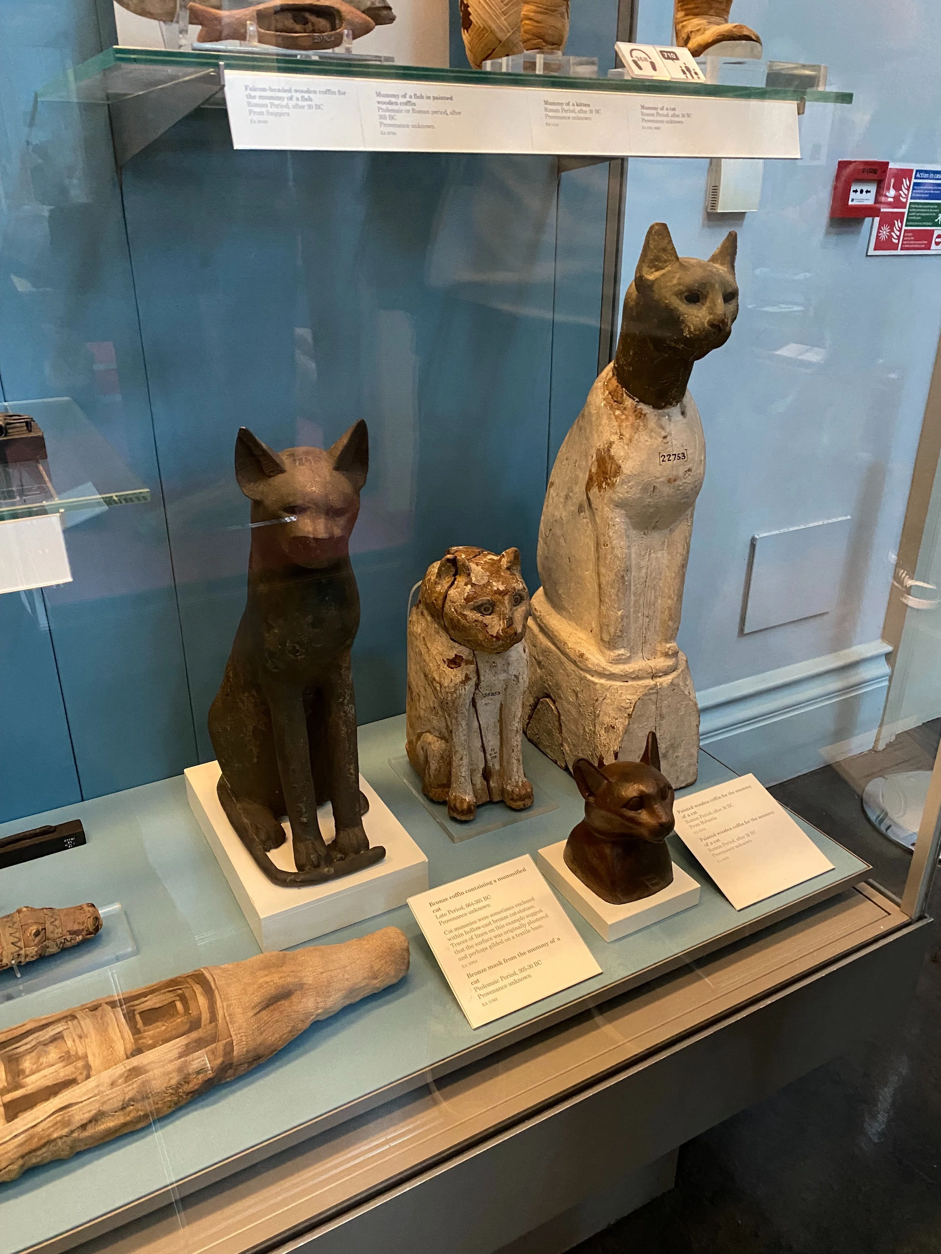 4初めてのロンドン🇬🇧｜想像の3倍でかい！【大英博物館編】｜つるみ