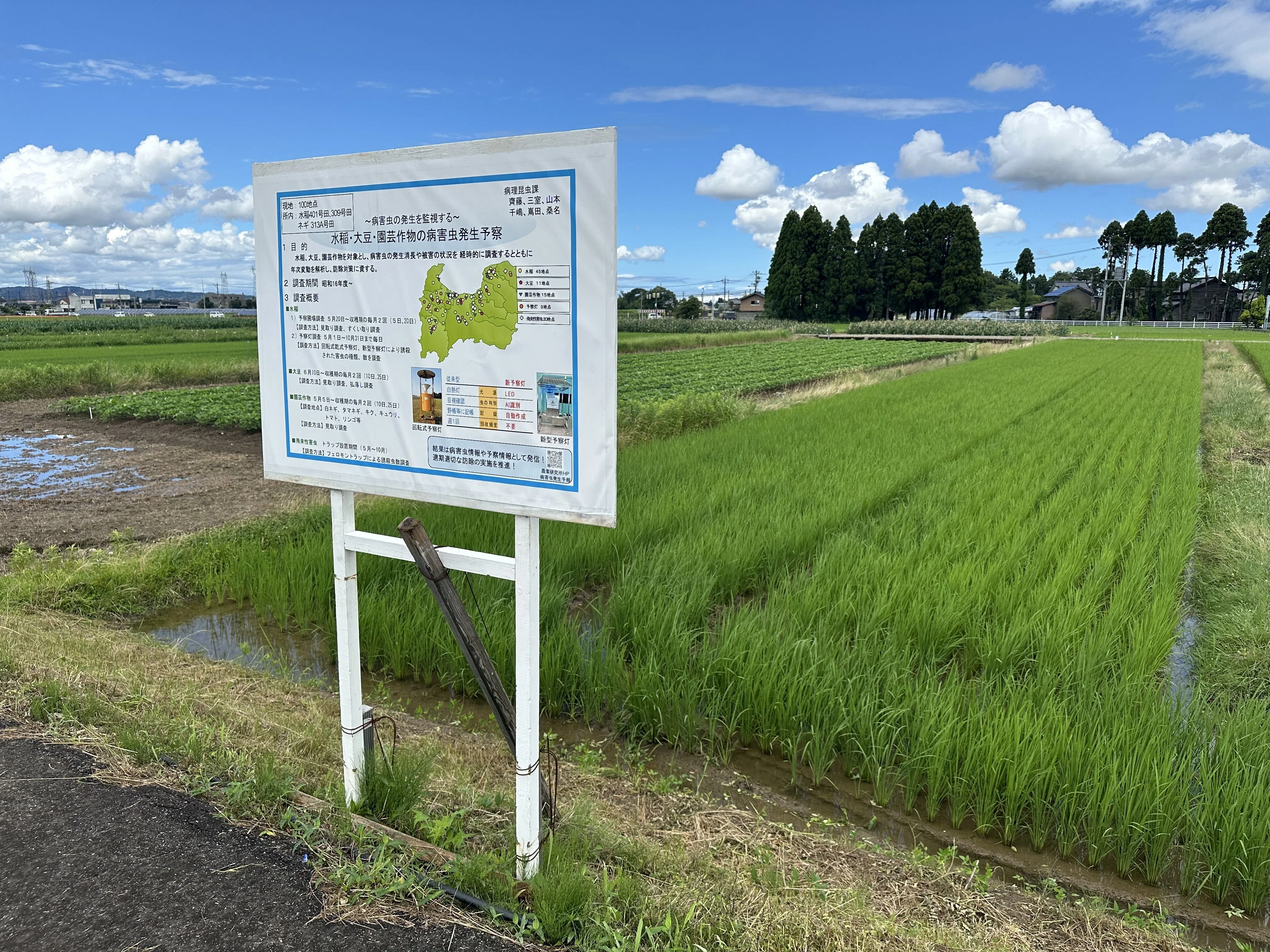 本物の研究員に、研究のコツ聞いてきました！【自由研究の参考に