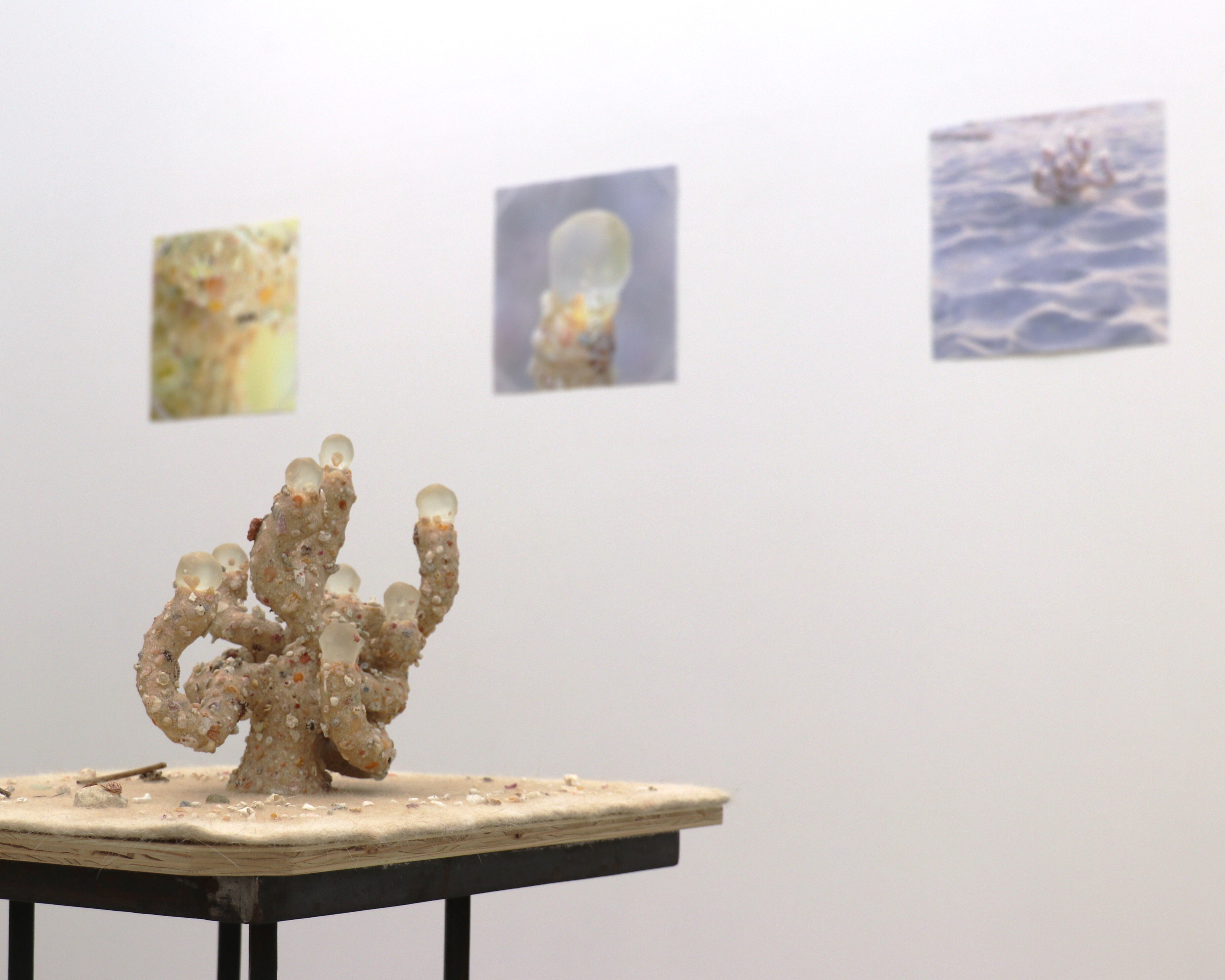 長いトンネルの先,記憶の宝箱 -加藤美佳 個展(6/22-7/20)｜Abbey -旅