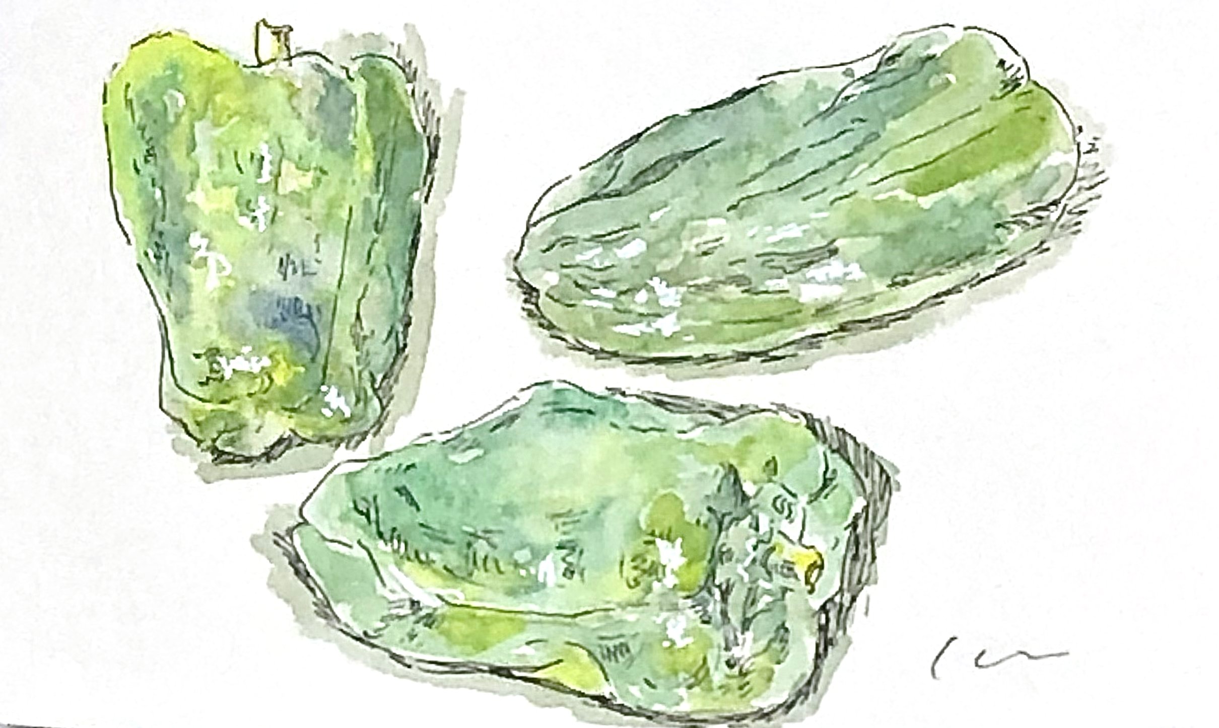 もらった『夏野菜』美味しくいただいたので、描いてみました