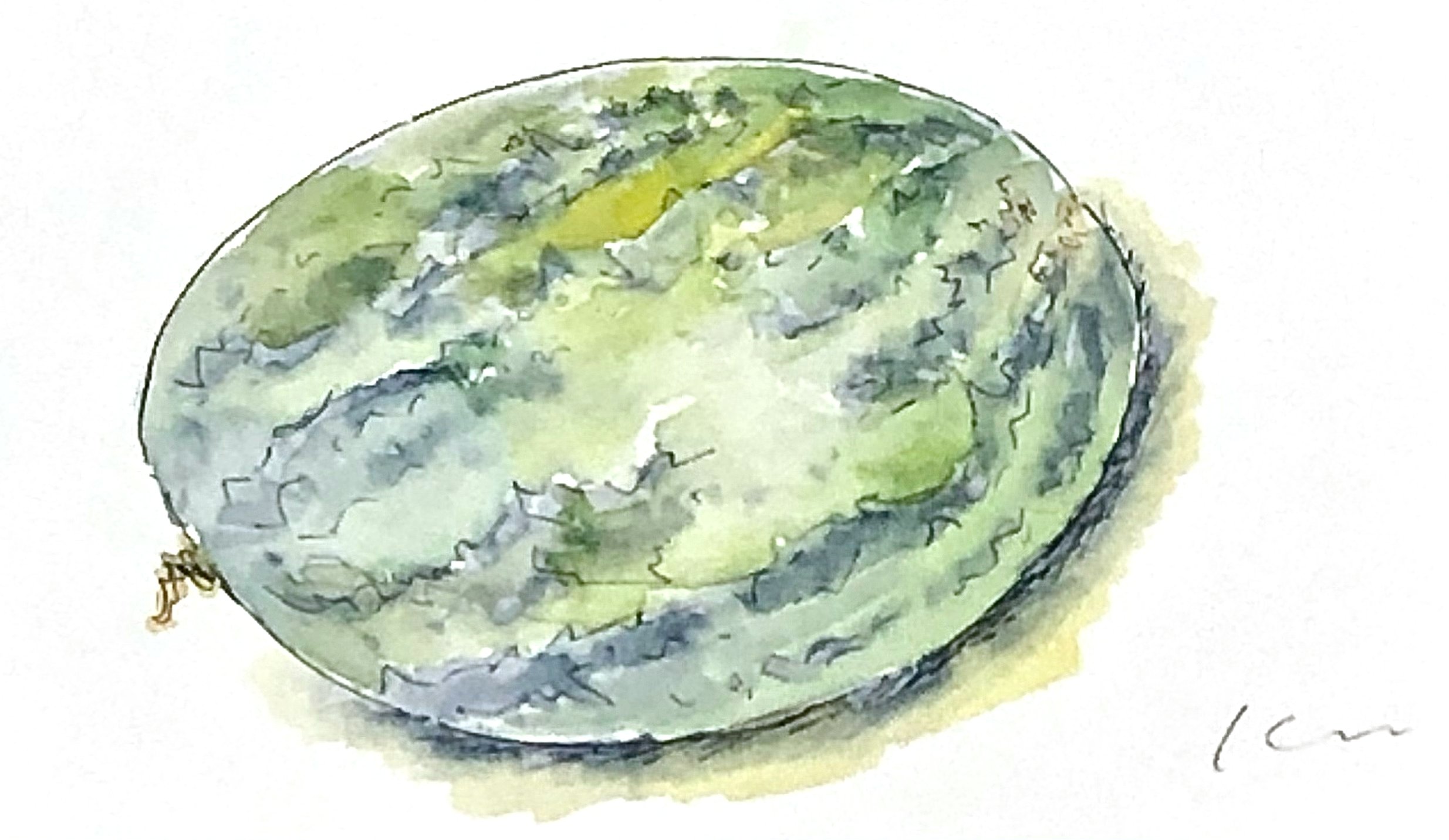 もらった『夏野菜』美味しくいただいたので、描いてみました