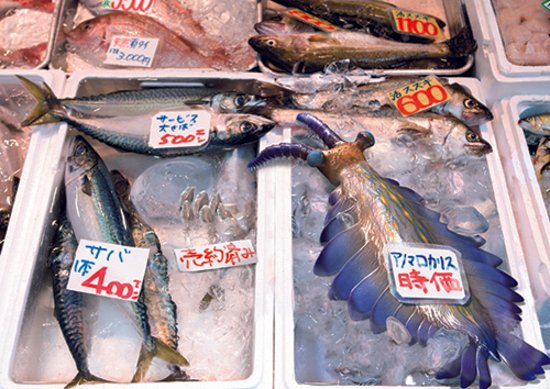 ほら、あなたの隣にも！ 見てびっくりのサイズ感『リアルサイズ