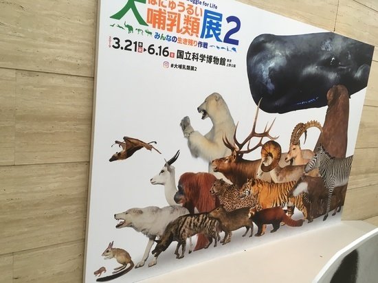 裸で出っ歯の珍奇なネズミが、人類を救う？ 『ハダカデバネズミ