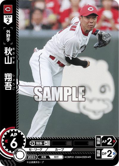 ドリームオーダー第2弾環境 広島東洋カープ｜gai