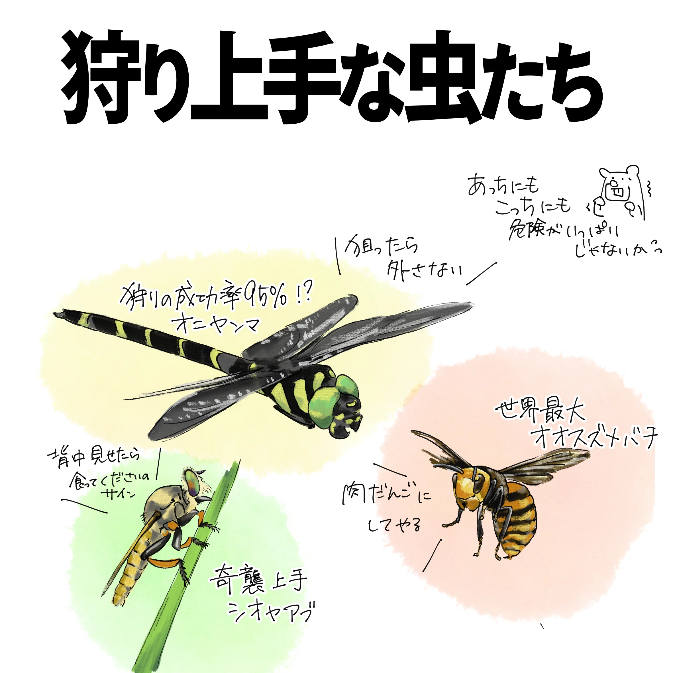 オータニ昆虫館　デカスズメバチ 日本では、「殺人バチ」は、致命的な脅威であるが、またごちそうでも