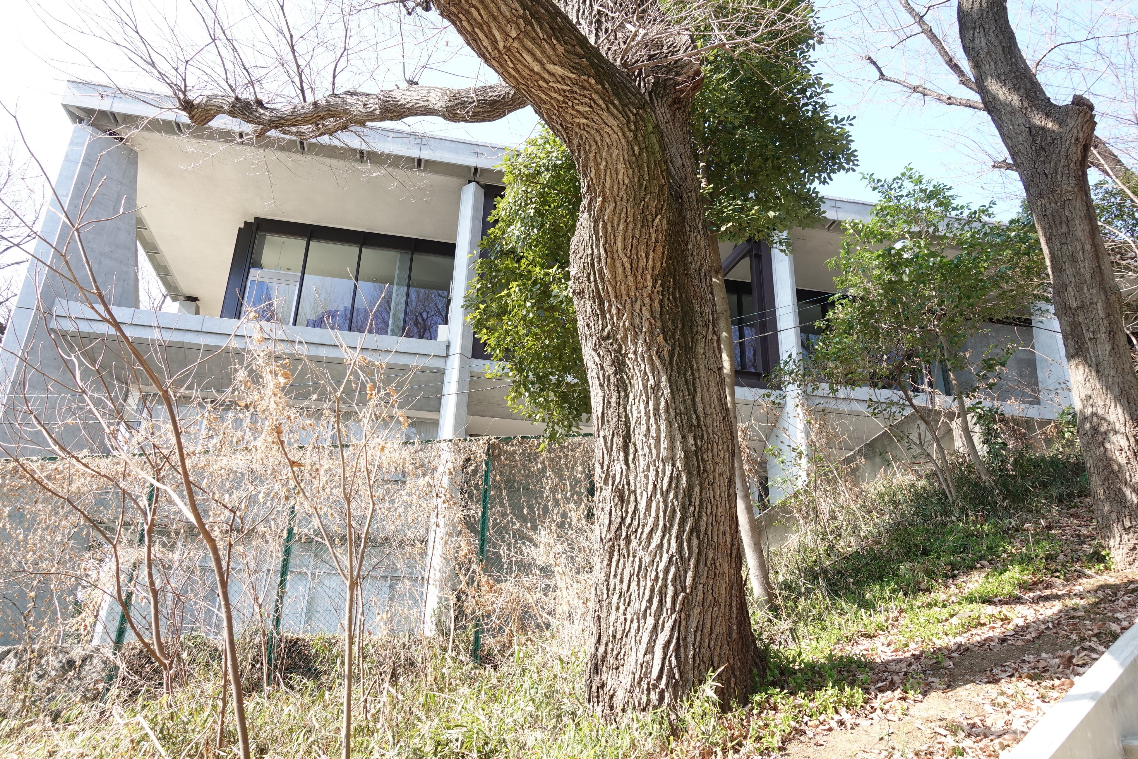 東北帝国大学農科大学　明治43年　富貴堂書房 東北学院大学法学部教科書セット9冊 - メルカリ
