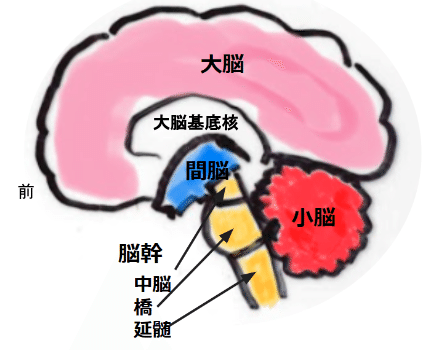 金原出版