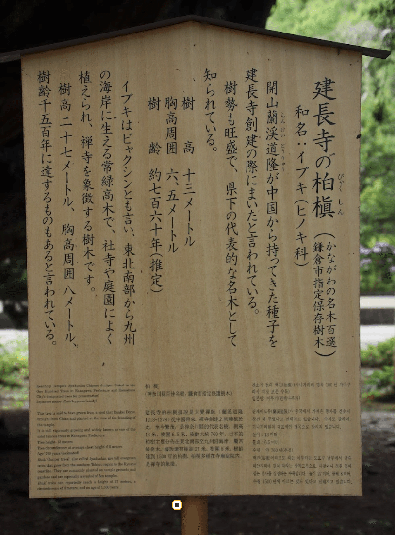 蘭渓道隆禅師全集  第１巻 /大本山建長寺/道隆（大型本） 蘭渓道隆 (#大覚禅師 ) 坐像 #建長寺 開山堂本尊 #鎌倉時代 13